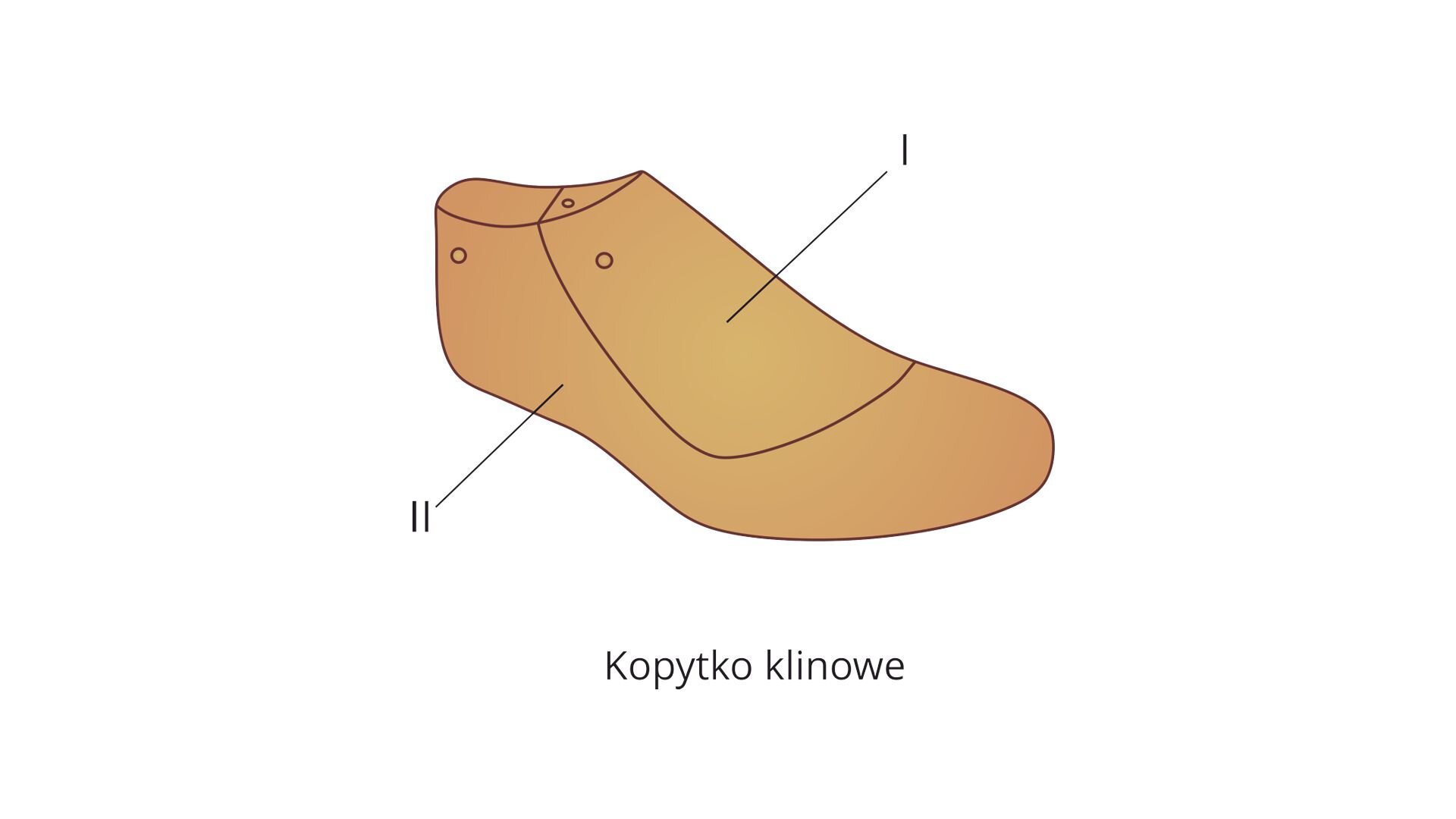 Grafika przedstawia schemat budowy kopyta klinowego, czyli modelu przestrzennego stopy, podzielonego na trzon i klin.