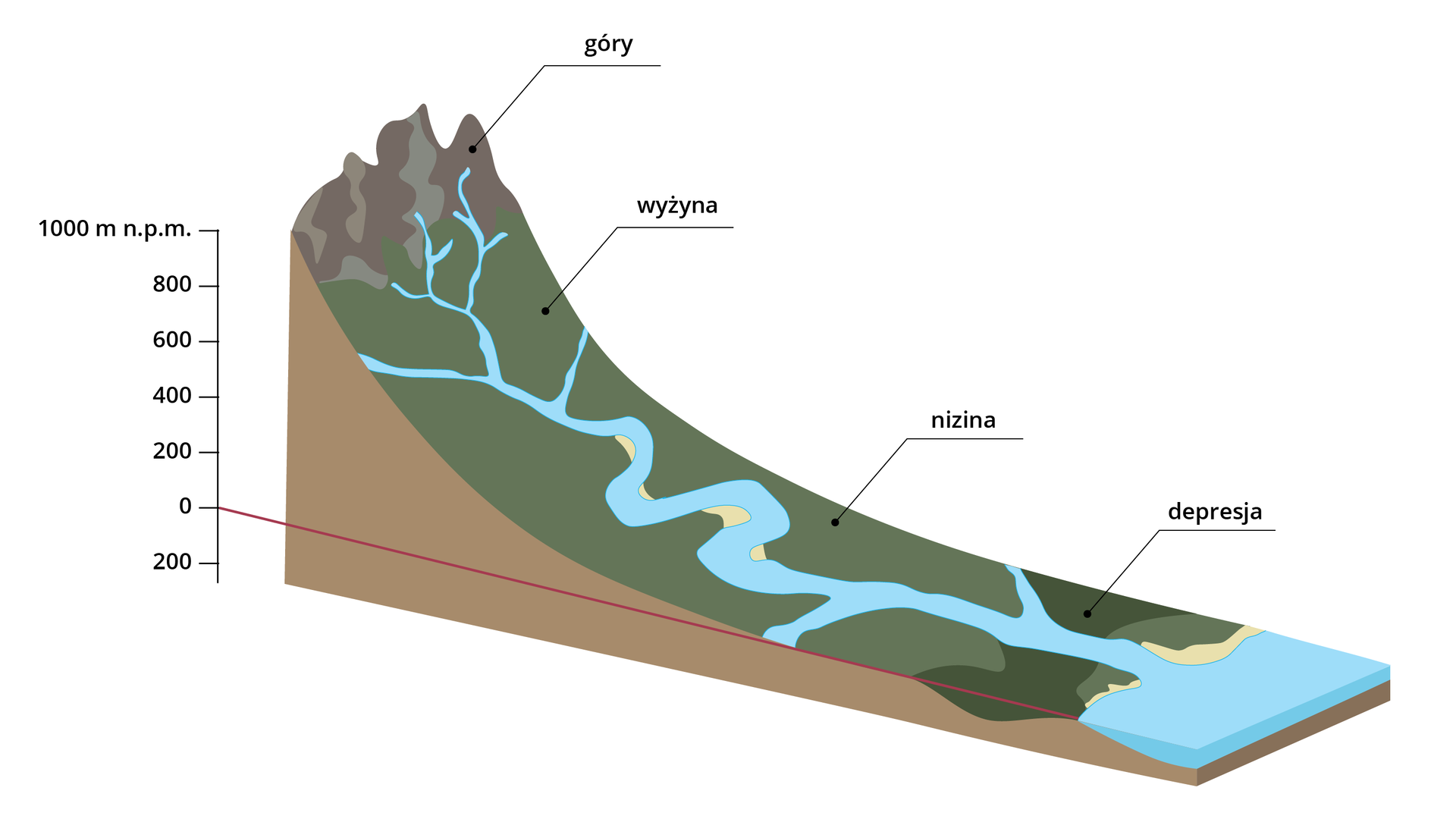 Grafika przedstawia ukształtowanie lądów. Na wysokości 1000 metrów nad poziomem morza są góry. Niżej około wysokości 600 metrów nad poziomem morza znajduje się wyżyna. Na wysokości około 200 metrów nad poziomem morza znajduje się nizina. Poniżej poziomu morza znajduje się depresja. Następnie jest morze. Z gór wypływają wody rzeki, które łączą się na wyżynie oraz tworzą zakola na nizinach. Następnie uchodzą do morza.