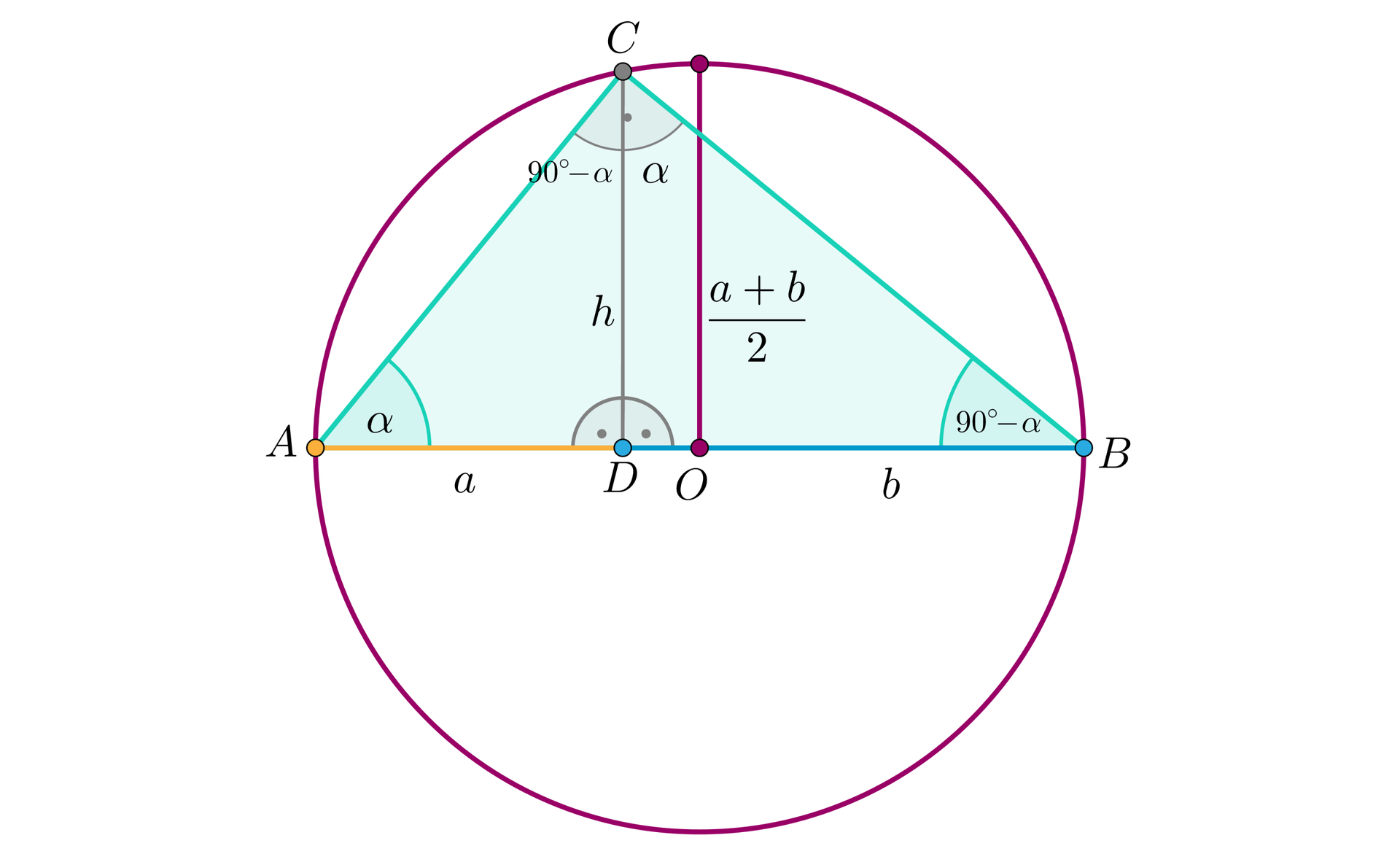 Ilustracja przedstawia dwa odcinki. Jeden o długości a, a drugi dłuższy o długości b.  Połączono je i oznaczono ich końce: odcinek a to odcinek A D, odcinek b to odcinek D B. Tworzą one średnicę okręgu o środku O. Promień okręgu to a+b2.  Odcinek AB jest średnicą okręgu jest on również podstawą trójkąta prostokątnego ABC wpisanego w okrąg. Zaznaczono jego wysokość C D o długości h. Wysokość podzieliła trójkąt na dwa mniejsze trójkąty. Pierwszy ADC o kątach wewnętrznych alfa przy wierzchołku A, 90 stopni przy wierzchołku D oraz 90 stopni minus alfa przy wierzchołku C. Drugi BDC o kącie przy wierzchołku B równym 90 stopni minus alfa, przy wierzchołku D równym 90 stopni oraz przy wierzchołku C równym alfa. 