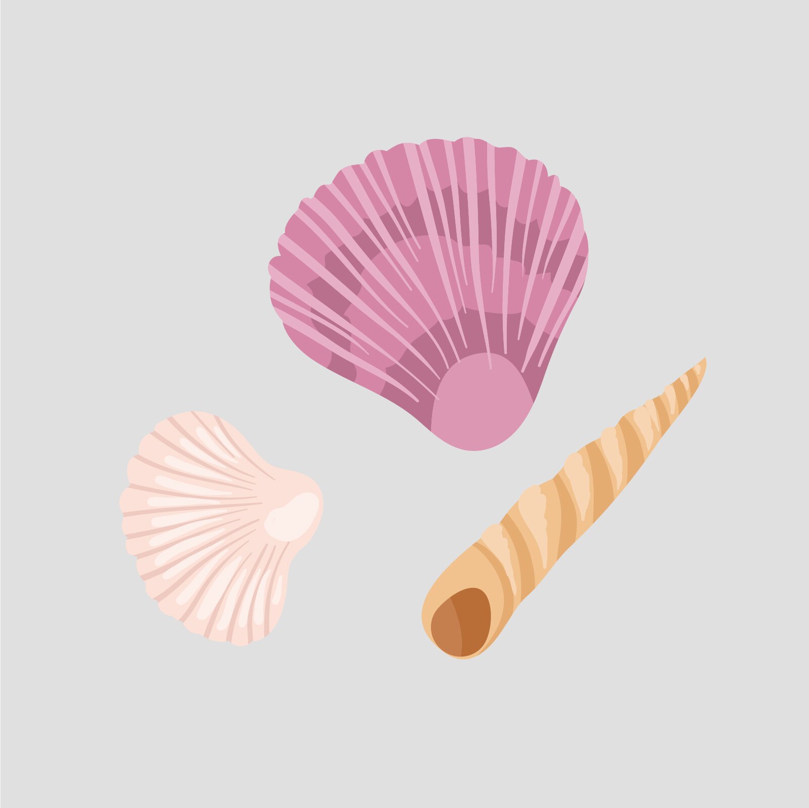 Ilustracja przedstawia trzy różnokolorowe muszelki. 