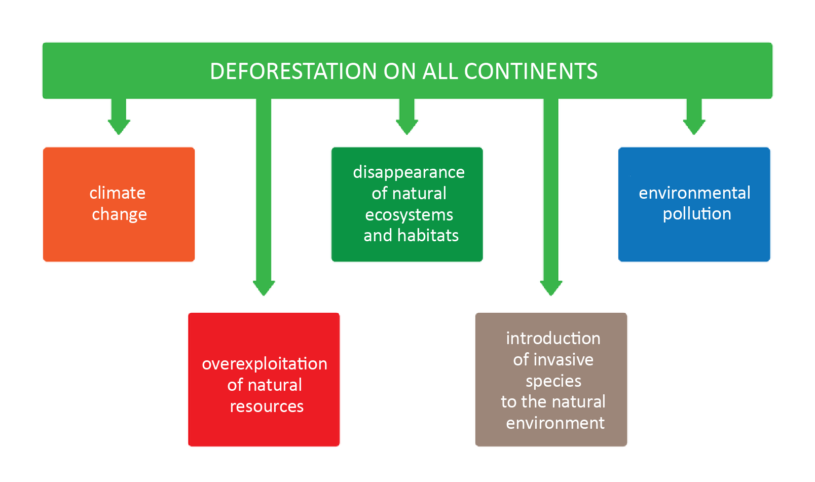 Ilustracja przedstawia schemat DEFORESTATION ON ALL CONTINENTS. Od głównego hasła schematu odchodzą kolejne strzałki: climate change, overexploitation of natural resources, disappearance of natural ecosystems and habitats, introduction of invasive species to the natural environment, environmental pollution.