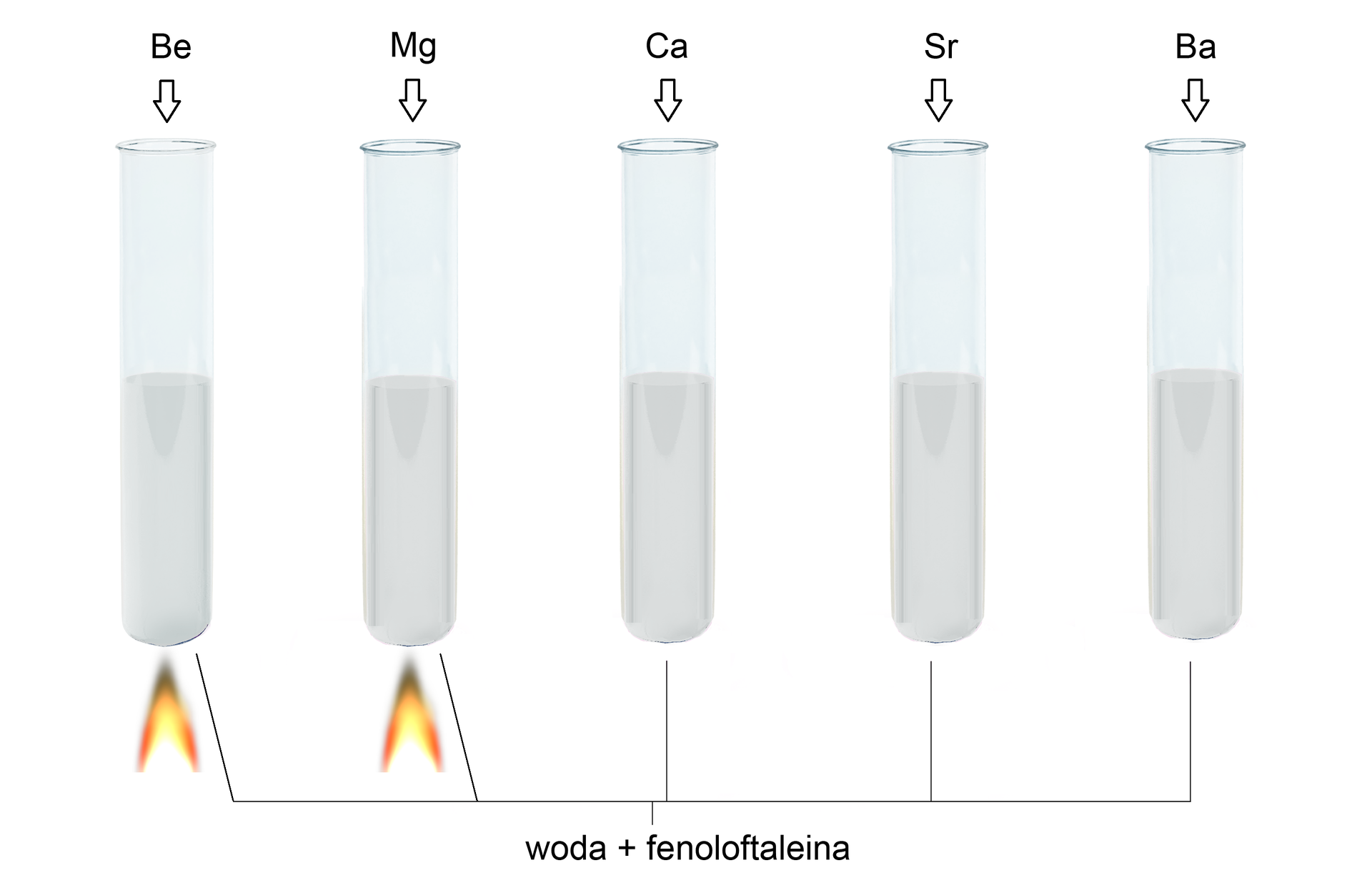 Ilustracja przedstawiająca pięć probówek wypełnionych do połowy różowo‑fioletowym roztworem. W każdej probówce znajduje się woda oraz fenoloftaleina. W pierwszej probówce znajduje się beryl, w drugiej, magnez, w trzeciej, wapń, w czwartej stront, zaś w piątej bar. Pod probówką pierwszą zawierającą beryl znajduje się płomień palnika.