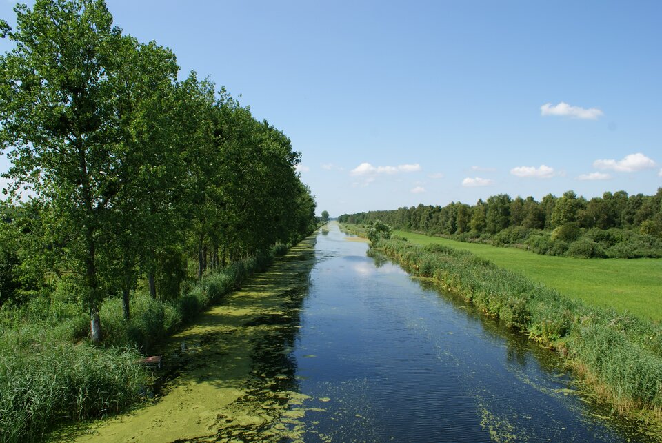 Zdjęcie przedstawia stosunkowo wąską, spokojną rzekę. Po lewej stronie rosną nad brzegiem rzeki w równym rzędzie drzewa liściaste. Po prawej stronie brzeg porośnięty jest trawą, nieco dalej rośnie las.   