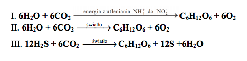 Grafika przedstawia trzy reakcje opisujące asymilację dwutlenku węgla przez różne grupy organizmów autotroficznych. W pierwszej reakcji sześć cząsteczek wody oraz sześć cząsteczek dwutlenku węgla pod wpływem energii z utleniania NH indeks dolny cztery plus do NO indeks dolny dwa minus przechodzi w glukozę o wzorze sumarycznym C indeks dolny 6 H indeks dolny 12 O indeks dolny 6 oraz sześć cząsteczek tlenu.  W drugiej reakcji sześć cząsteczek wody oraz sześć cząsteczek dwutlenku węgla pod wpływem energii słonecznej przechodzi w glukozę o wzorze sumarycznym C indeks dolny 6 H indeks dolny 12 O indeks dolny 6 oraz sześć cząsteczek tlenu. W trzeciej reakcji dwanaście cząsteczek kwasu siarkowodorowego wchodzi w reakcję z sześcioma cząsteczkami dwutlenku węgla. Pod wpływem światła przechodzą one w cząsteczkę glukozy o wzorze sumarycznym C indeks dolny 6 H indeks dolny 12 O indeks dolny 6, dwanaście cząsteczek siarki oraz sześć cząsteczek wody.
