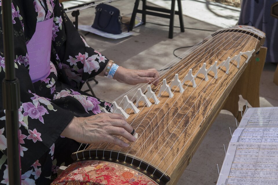 Fotografia przedstawia instrument muzyczny przypominający drewnianą, wygiętą jasnobrązową powierzchnię z przymocowanymi do obu końców strunami. Pomiędzy nimi, od prawego dolnego rogu instrumentu, do lewego górnego, umieszczono białe przedmioty przypominające odwróconą literę „Y”. Z lewej strony zdjęcia przy instrumencie siedzi postać, której ręce dotykają strun. Ma na sobie czarne kimono w różowe i fioletowe kwiaty z zielonymi detalami oraz szeroki, fioletowy pas. Przed instrumentem ułożono kartę przypominającą zapis nutowy.