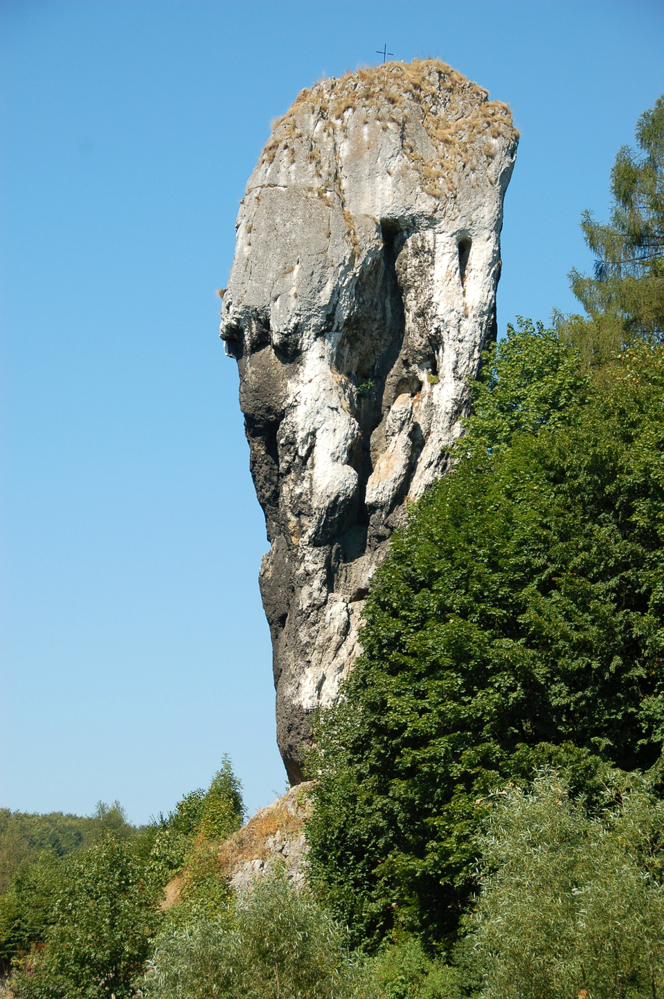 Fotografia Maczugę Herkulesa w Ojcowskim parku Narodowym. Widać szaro‑białą jasną pionową skałę w otoczeniu drzew. Przypomina ona maczugę.