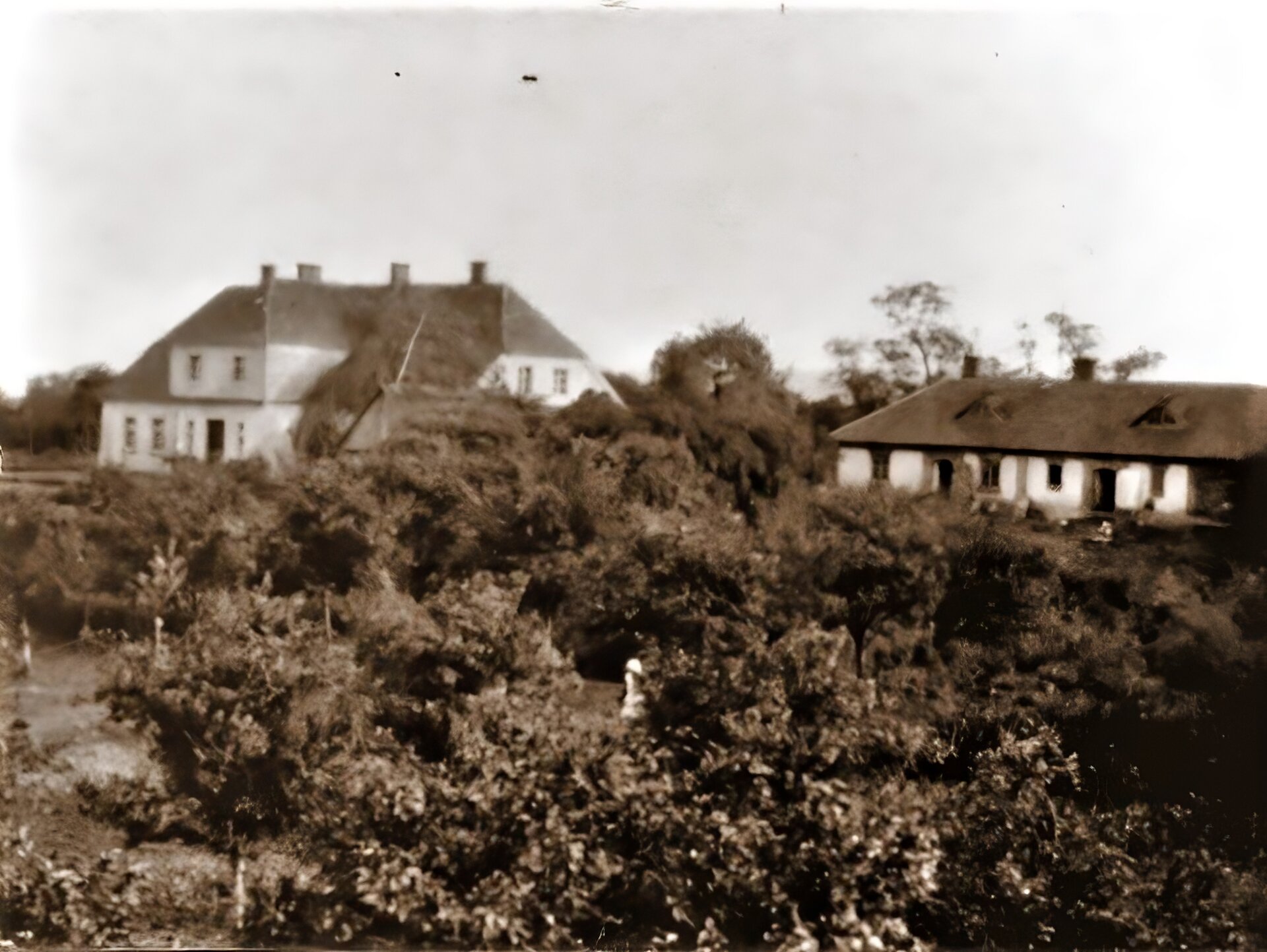 Zdjęcie przedstawia fragment piętrowego dworku ze skośnym dachem. Z prawej strony dworku znajduje się drugi, parterowy, budynek, służący za stajnię. Przed budynkami rosną bujne krzewy i drzewa. Niebo jest bezchmurne. Zdjęcie jest sepią.