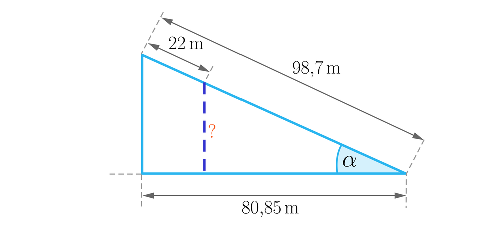 Ilustracja przedstawia trójkąt prostokątny o dłuższej przyprostokątnej w podstawie o długości osiemdziesiąt przecinek osiem pięć metrów, przeciwprostokątnej o długości dziewięćdziesiąt osiem przecinek siedem metrów. Kąt alfa znajduje się pomiędzy tymi dwoma bokami. Na rysunku przedstawiony jest także odcinek zaznaczony na przeciwprostokątnej o długości 22 metrów rozpoczynając od górnego wierzchołka trójkąta. Przez  zakończenie owego odcina poprowadzona została pionowa prosta oznaczona jako szukana.