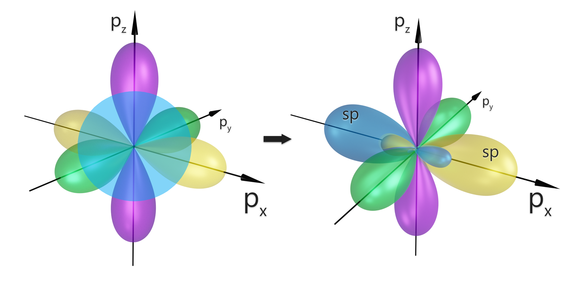 Ilustracja przedstawia powstawanie orbitali s p z uwzględnieniem orbitali niebiorących udziału w hybrydyzacji. Dwa trójwymiarowe układy współrzędnych z opisanymi osiami <math aria‑label="iks">x, <math aria‑label="igrek">y, <math aria‑label="zet">z. W pierwszym znajduje się orbital s, który odpowiada kuli mającej środek w początku układu współrzędnych, w którym to znajduje się jądro atomu. Drugi orbital px z kolej jest zlokalizowany wzdłuż osi <math aria‑label="iks">x i składa się z dwóch lobów wychodzących z początku układu współrzędnych, przypominających kształtem obracającą się wokół osi podłużnej trójwymiarową ósemkę. Oprócz tego, wzdłuż osi <math aria‑label="igrek">y również zlokalizowany jest orbital <math aria‑label="pe indeks dolny igrek koniec indeksu">py zbudowany z dwóch lobów, podobnie jak orbital <math aria‑label="pe indeks dolny iks koniec indeksu">px. Ostatni orbital <math aria‑label="pe indeks dolny zet koniec indeksu">pz znajduje się wzdłuż osi <math aria‑label="zet">z i również zbudowany jest z dwóch symetrycznych lobów. Strzałka w prawo, za strzałką drugi układ współrzędnych, w którym znajdują się orbitale zhybrydyzowane oraz niezmienione orbitale <math aria‑label="pe indeks dolny igrek koniec indeksu">py oraz <math aria‑label="pe indeks dolny zet koniec indeksu">pz. Pierwszy orbital s p zbudowany jest z dwóch lobów znajdujących się wzdłuż osi <math aria‑label="iks">x i wychodzących z początku układu współrzędnych, pierwszy lob jest większy i znajduje się po stronie wartości dodatnich osi <math aria‑label="iks">x, zaś drugi jest mniejszy i znajduje się po stronie wartości ujemnych. Drugi orbital s p ma taki sam kształt, również leży wzdłuż osi <math aria‑label="iks">x, przy czym większy lob znajduje się po stronie wartości ujemnych, a mniejszy po stronie dodatnich. Orbitale <math aria‑label="p indeks dolny igrek koniec indeksu">py oraz <math aria‑label="pe indeks dolny zet koniec indeksu">pz, jak już wspomniano zachowały pierwotną postać.