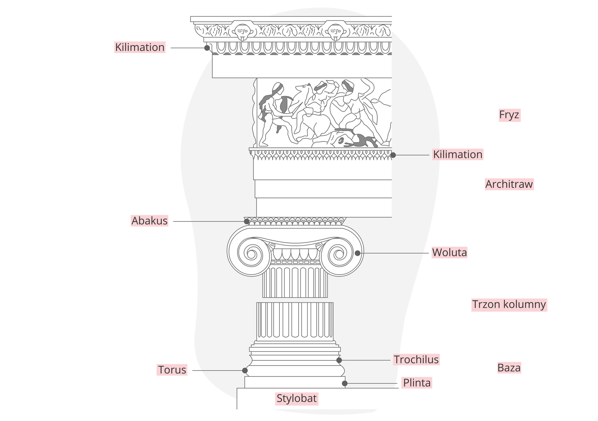 Grafika przedstawia schemat kolumny greckiej. Stanowi ona podporę ozdobnej belki. Głowica kolumny jest udekorowana w górnej części elementem przypominającym zakręcone rogi. Trzon kolumny jest żłobkowany; na dole znajduje się baza. Poszczególne części kolumny i belkowania są opisane terminami pochodzącymi z języka łacińskiego i greckiego.
