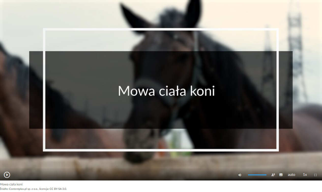 Grafika przedstawia przykładowy widok ekranu filmu. Na środku znajduje się tytuł materiału filmowego: Mowa ciała koni. W tle widać głowę konia. W dolnej części ekranu znajdują się ikony z różnymi opcjami. W dolnym lewym rogu umieszczono ikonę trójkąta w kółku. Jest to ikona włączania odtwarzania filmu. Kolejna ikona znajduje się dopiero w połowie ekranu dolnego paska. Jest to ikona megafonu. Obok niej widać niebieski pasek, który oznacza poziom głośności. Dalej znajduje się mały biały prostokąt z czarnymi paskami w jego dolnej części. Pozwala ona na włączenie napisów. Kolejna ikona to napis auto, która umożliwia wybranie jakości filmu. Obok niej widać ikonę jedynki z iksem. Po kliknięciu na nią można wybrać szybkość odtwarzania filmu. Ostatnia ikona to kreski tworzące kwadrat. Kreski te tworzą jedynie krawędzie kwadratu. Jest to opcja włączania trybu pełnoekranowego.