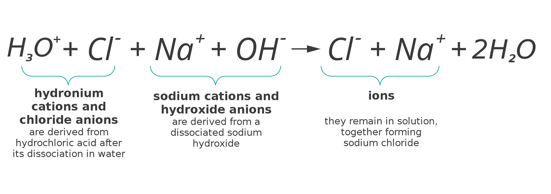 Ilustracja przedstawia dokładną analizę reakcji kwasu chlorowodorowego z wodorotlenkiem sodu zachodzącej w roztworze wodnym. W górnej części planszy znajduje się zapis przebiegu reakcji, w której związki reagujące ze sobą oraz jeden z produktów zapisane są w postaci jonów z uwagi na to, że w obecności wody uległy dysocjacji elektrolitycznej. Każda grupa jonów powstałych z jednego związku ujęta jest zieloną klamrą i opisana poniżej. Zapis reakcji wygląda więc tak: kation oksoniowy i anion chlorkowy pochodzące od kwasu chlorowodorowego - hydronium cations and chloride anions are derived from acid after its dissociation in water reagują z kationami sodu i anionami wodorotlenowymi pochodzącymi od wodorotlenku sodu - sodium cations and hydroxide anions are derived from a dissociated sodium hydroxide. W efekcie w roztworze pozostają jony - anion chlorkowy oraz kation sodowy - ions they remain in solution together forming sodium chloride, które tworzą zdysocjowany chlorek sodu oraz dwie cząsteczki wody, czyli ha trzy o plus dodać c el minus dodać en a plus dodać o ha minus strzałka w prawo c el minus dodać en a plus dodać dwa ha dwa o.