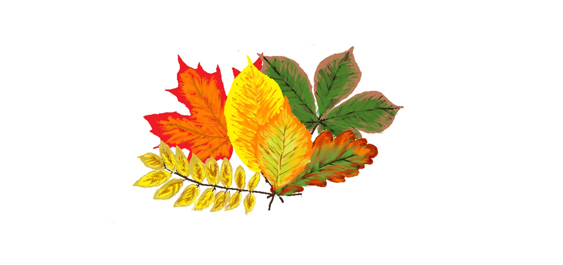 Ilustracja przedstawiająca bukiet jesiennych liści