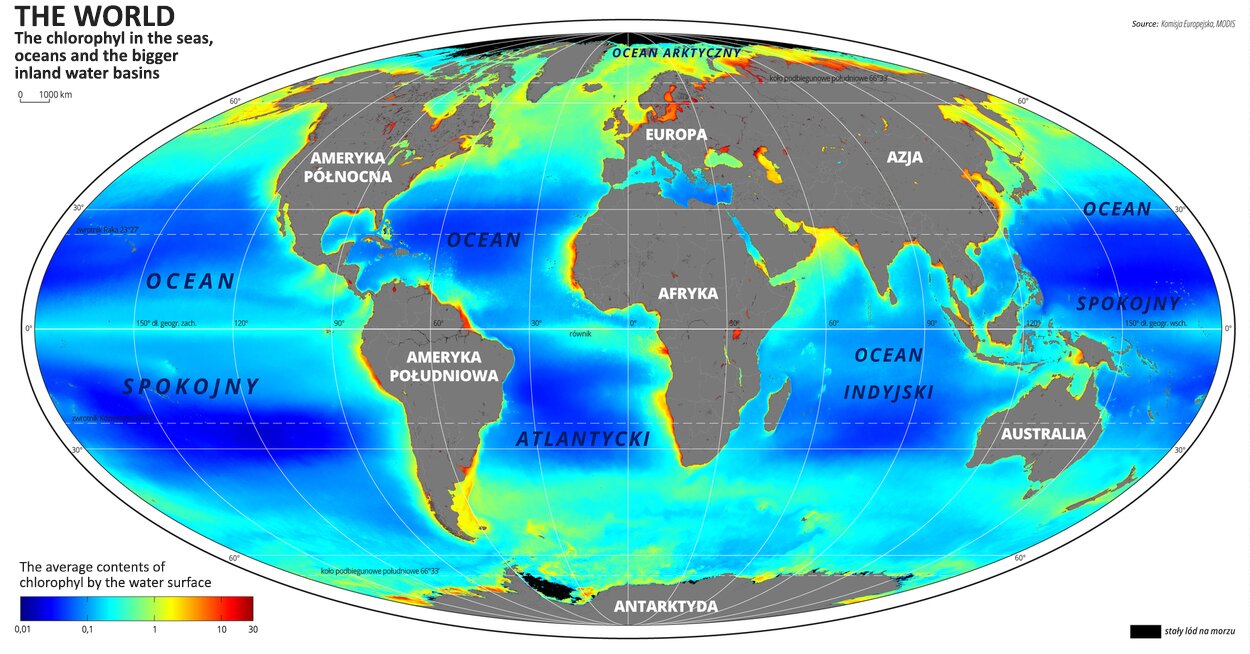 Ilustracja przedstawia mapę świata. Opisano na niej kontynenty.Na mapie  przedstawiono średnią zawartość chlorofilu w morzach, oceanach i większych zbiornikach śródlądowych. Mapa pokryta jest równoleżnikami i południkami. Dookoła mapy w  ramce opisano współrzędne geograficzne co trzydzieści stopni.Na dole mapy po lewej stronie umieszczono poziomy legendę mapy.