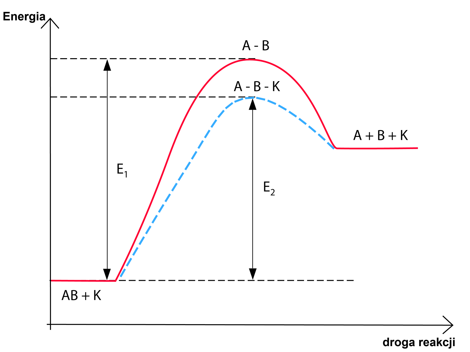 Na wykresie na osi X zaznaczono drogę reakcji, na osi Y energię. Na wykresie poprowadzono trzy linie przerywane równoległe do osi X. Jedna jest położona nieco nad osią X, dwie wysoko nad osią X. Na wykresie jest krzywa startująca przy niskiej wartości na osi Y. Następnie biegnie po linii przerywanej równoległej do osi X. Ten fragment krzywej to AB + K. Następnie krzywa rośnie do punktu A - B, po czym opada i biegnie równolegle do osi X - tę część krzywej opisano jako A + B + K. Pod wypukłą krzywą poprowadzono analogiczną krzywą narysowaną linią przerywaną. Jej punkt maksymalny opisano jako A - B - K. Wysokość od AB + K do A - B to E indeks dolny 1. Wysokość od poziomu AB + K do A - B - K to E indeks dolny 2.    