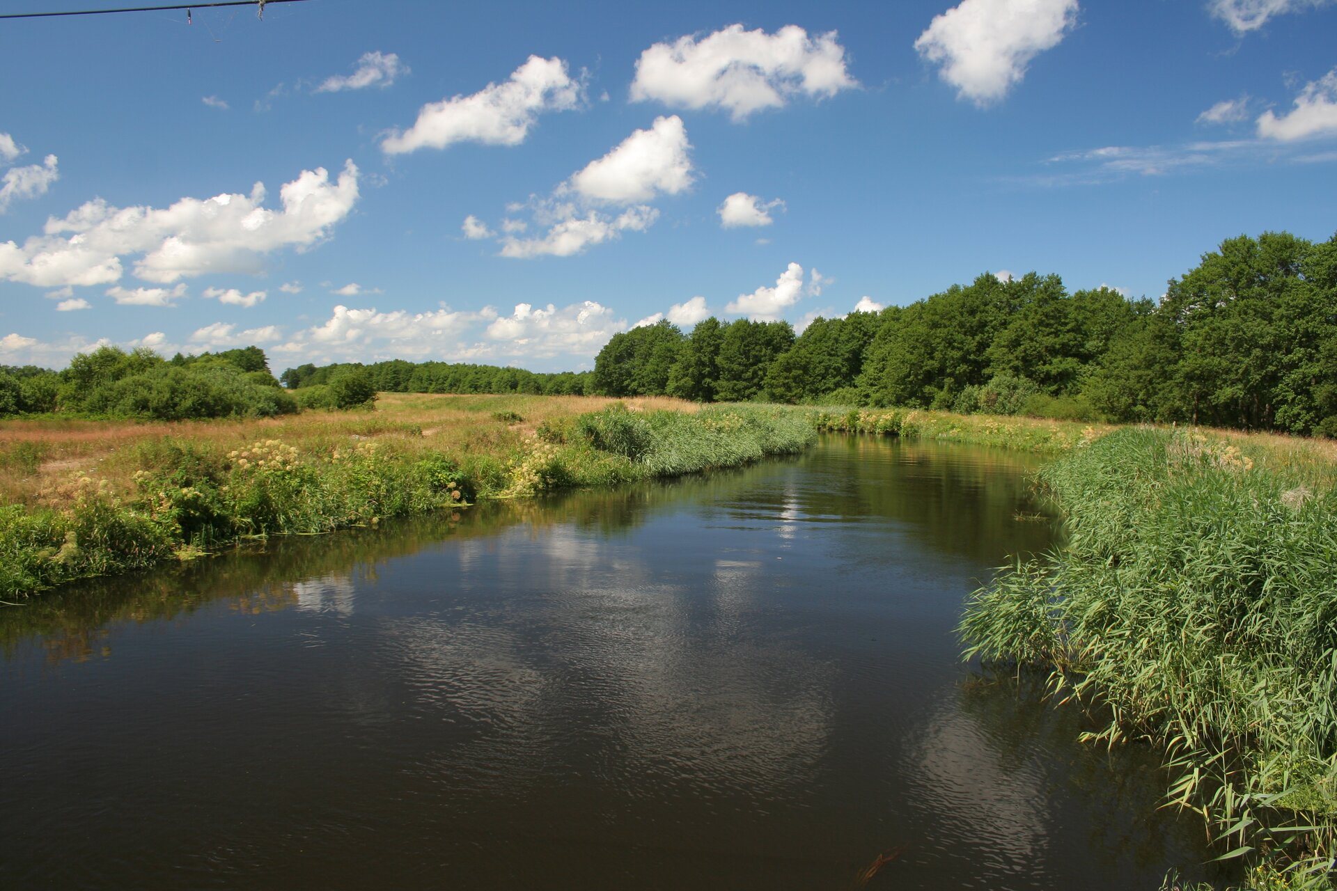 Zdjęcie przedstawia niewielką rzekę. Po obu stronach rzeki rośnie bujna trawa, natomiast z lewej strony jak i w oddali mieszczą się lasy.
