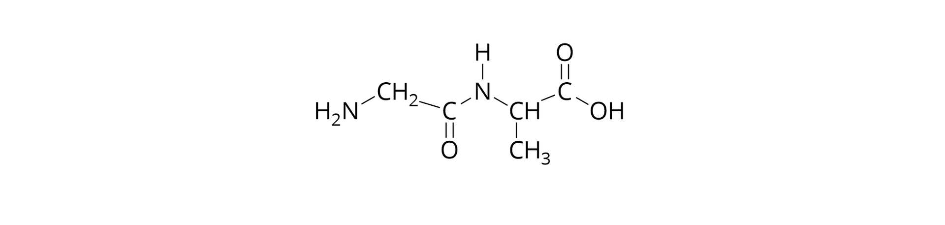 Wzór przedstawia budowę cząsteczki pewnego dipeptydu.