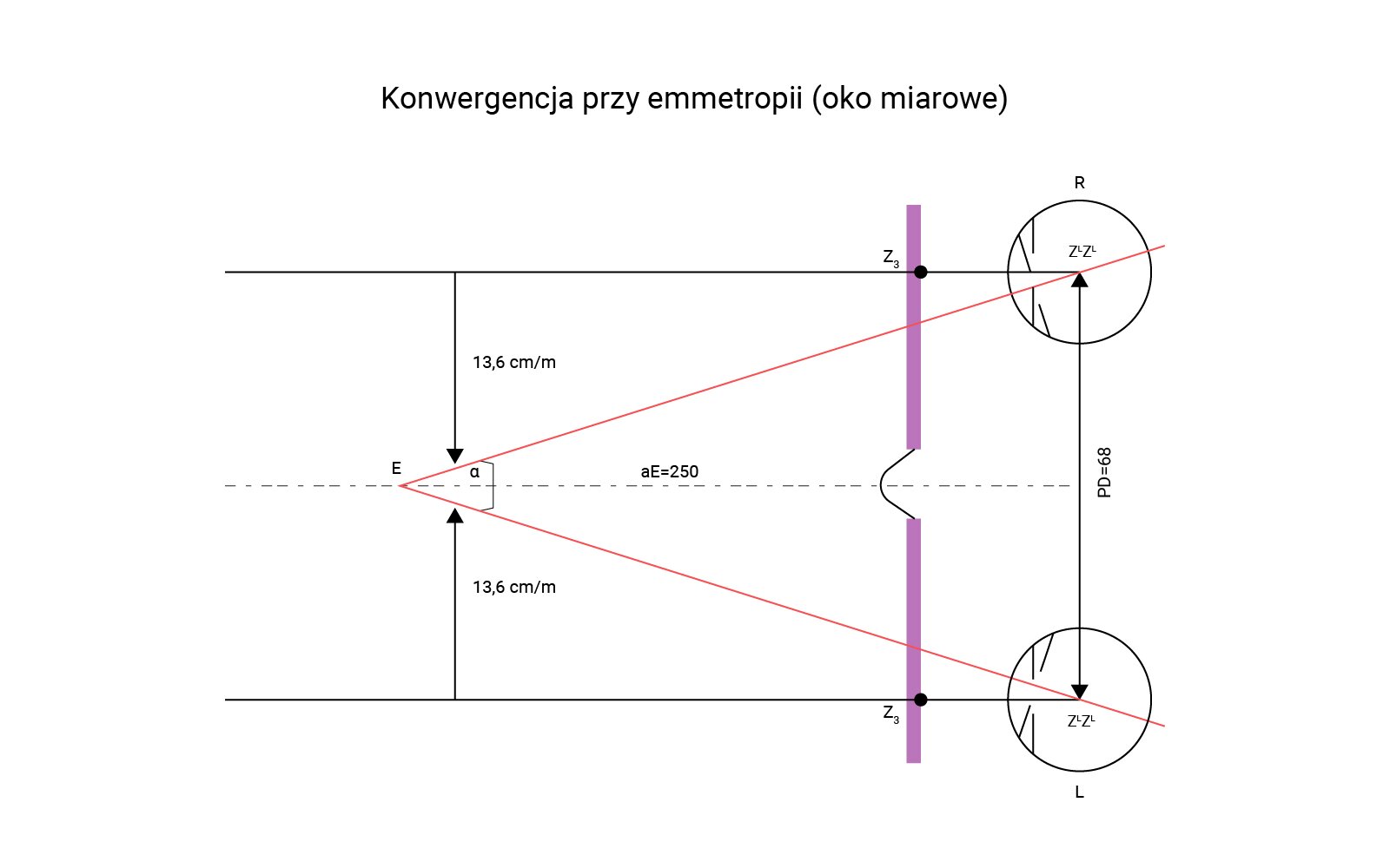 Na grafice przedstawiona konwergencja przy emmetropii (oko miarowe). Schemat pokazuje w jaki sposób ma zachowywać się oko.