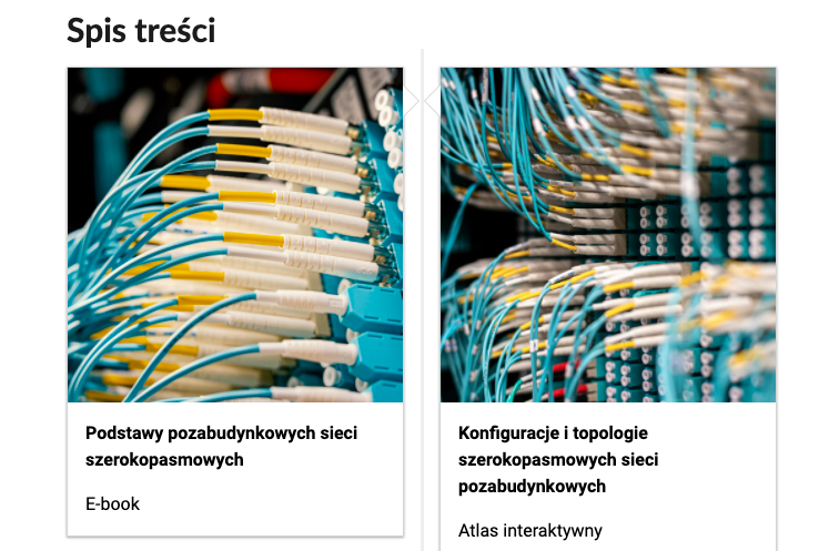 Grafika przedstawia dwa kafelki ze spisu treści. Są umiejscowione obok siebie. Mają prostokątny kształt. 