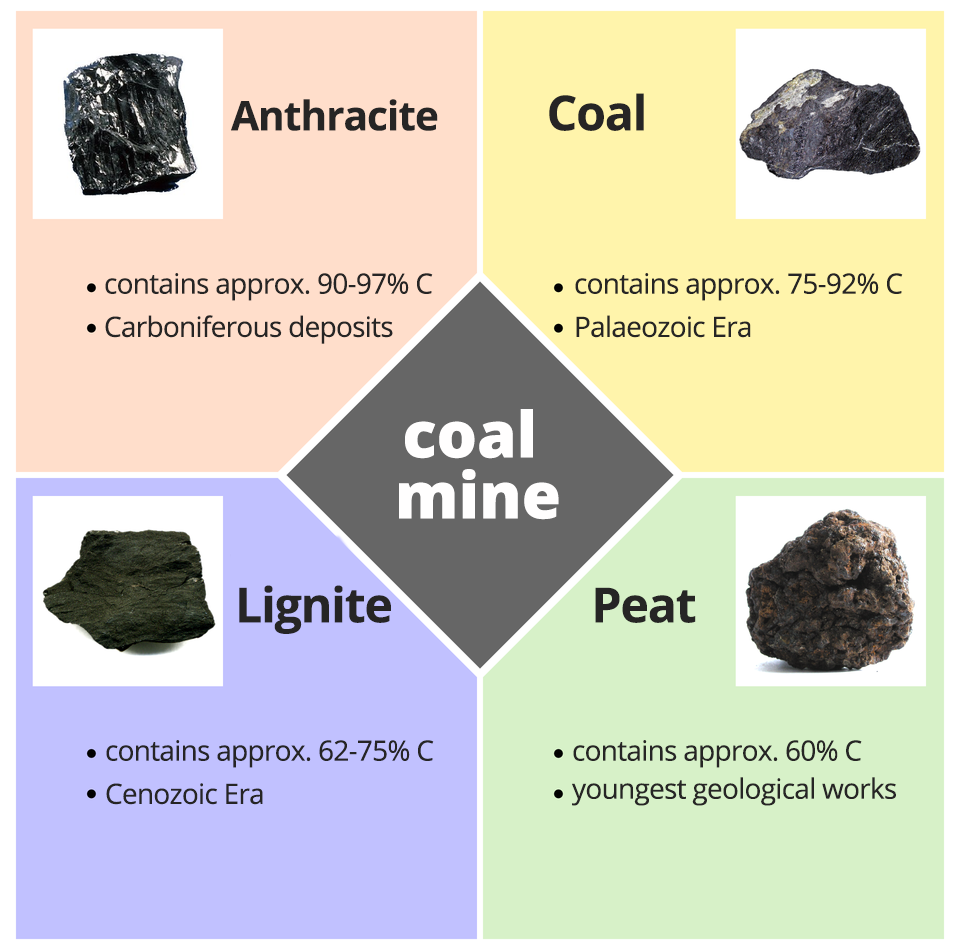 Ilustracja przedstawia różne odmiany węgli kopalnych - coal mine. Antracyt, Anthracite, czarny, zawiera około dziewięćdziesięciu do  dziewięćdziesięciu siedmiu procent węgla. Złoża z karbonu. Anthracite contains approx. 90-97% C. Carboniferous deposits. Węgiel, czarny, zawiera około siedemdziesięciu pięciu do dziewięćdziesięciu dwóch procent węgla. Era paleozoiczna. Coal contains approx. 75-92% C. Palaeozoic Era. Węgiel brunatny, brązowy, zawiera od sześćdziesięciu dwóch do siedemdziesięciu pięciu procent węgla. Era kenozoiczna. Lignite - contains approx. 62-75% C. Cenozoic Era. Torf, brązowy, zawiera około sześćdziesięciu procent węgla. Złoża najmłodsze. Peat contains approx. 60% C. Youngest geological works.   