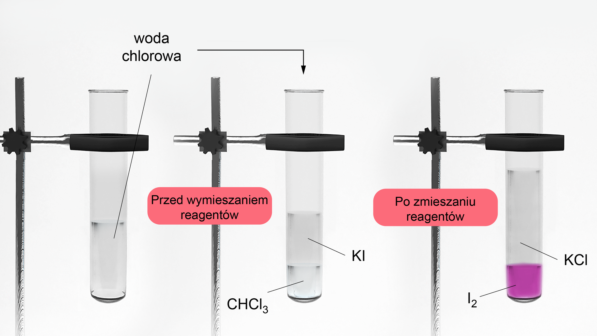 Ilustracja przedstawia trzy szklane probówki umocowane do statywów. W pierwszej z nich znajduje się bezbarwna woda chlorowa. Obok znajduje się zapis: przed wymieszaniem reagentów. W kolejnej probówce jest    C H C l   3    chloroform i roztwór KI, występują dwie fazy. Nad probówką znajduje się strzałka opisana: woda chlorowa. Obok znajduje się zapis: po zmieszaniu reagentów. W kolejnej probówce znajdują się dwie fazy różniące się kolorem: dolna ma kolor fioletowy i jest opisana    I   2   . Górna jest bezbarwna i opisana KCl.