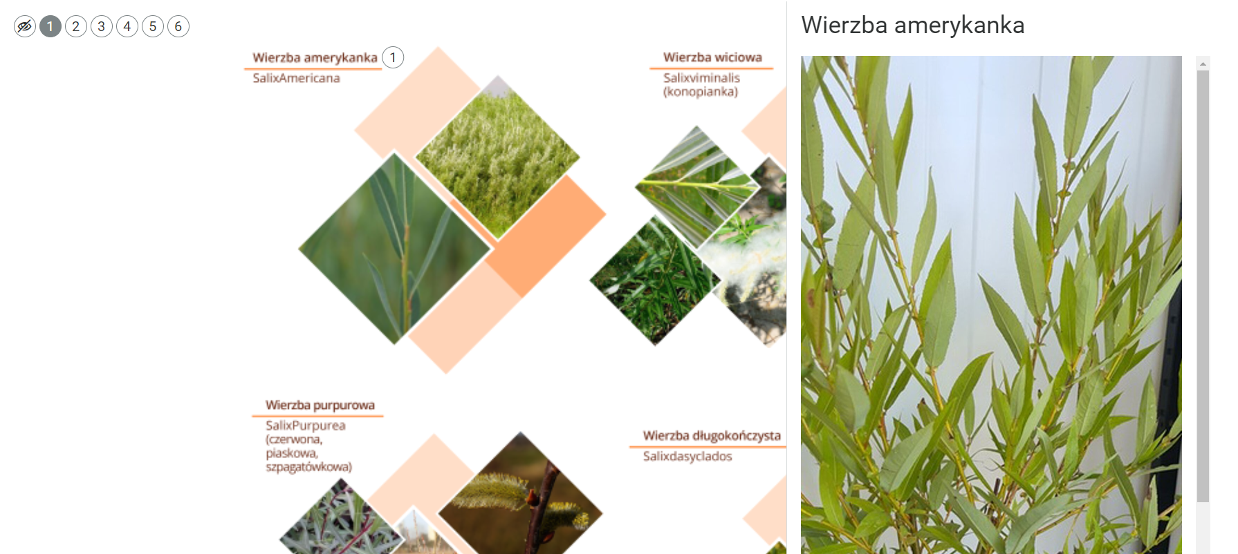 Cyfrowe znaczniki w planszy interaktywnej