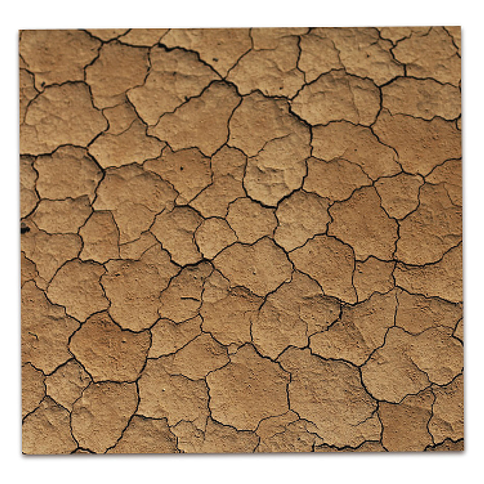 Ilustracja przedstawia popękaną glebę.