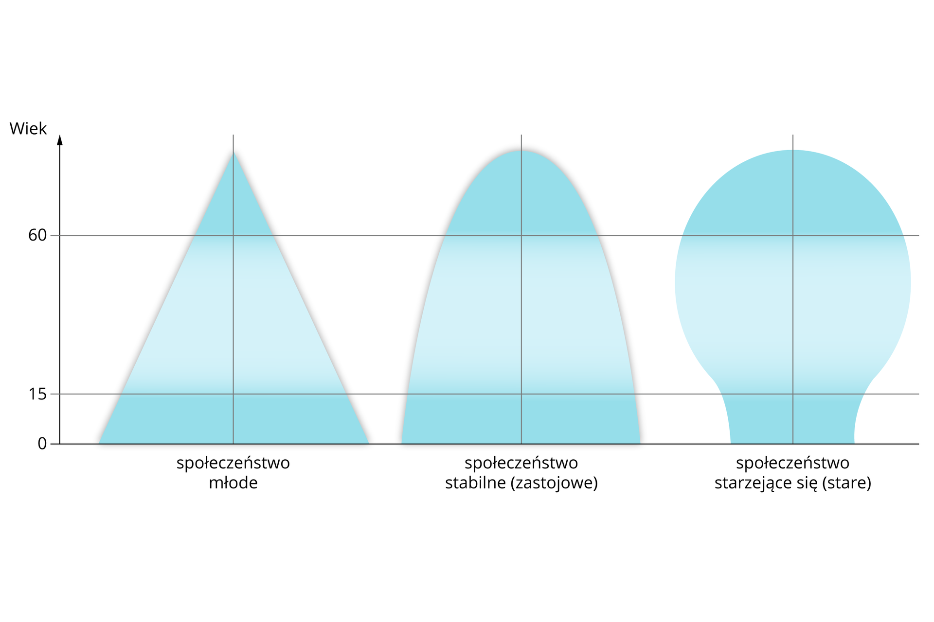 Ilustracja przedstawia trzy kształty piramid wieku zależne od rodzaju społeczeństwa. Piramidy mają kolor jasnoniebieski. Na osi pionowej znajdującej się po lewej stronie ilustracji określono wiek od 0, przez 15 do 60 lat z wektorem w górę. Na osi poziomej oznaczono społeczeństwo młode, społeczeństwo stabilne (zastojowe) i społeczeństwo starzejące się (stare). Piramida dla społeczeństwa młodego ma kształt trójkąta z największą liczbą osób w wieku przedprodukcyjnym od 0 do 15 lat i najmniejszą liczbą osób w wieku poprodukcyjnym od 60 lat w górę. Piramida dla społeczeństwa stabilnego (zastojowego) ma kształt ściętej u dołu elipsy. Różnice między osobami w wieku przed- i produkcyjnym jest stosunkowo nieduża. A w porównaniu z trójkątną piramidą społeczeństwa młodego znacznie więcej jest w tym przypadku osób w wieku poprodukcyjnym. Piramida typowa dla społeczeństwa starzejącego się (starego) swoim kształtem przypomina żarówkę. Najmniej jest osób w wieku przedprodukcyjnym, a najwięcej w wieku produkcyjnym. Liczba osób w wieku poprodukcyjnym jest tu największa w porównaniu z poprzednimi rodzajami piramid.
