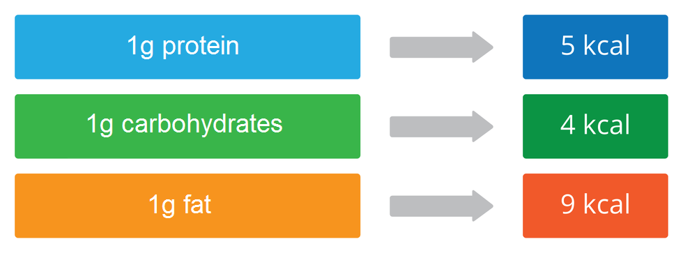 Schemat przedstawiający wartość energetyczną składników pokarmowych. Z jednego grama białek (protein) uzyskujemy pięć kilokalorii, z jednego grama węglowodanów carbohydrates – cztery kilokalorie, a z jednego grama tłuszczów - fat aż dziewięć kilokalorii.