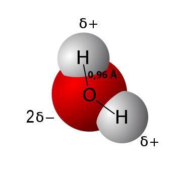 Na ilustracji jest przedstawiona cząsteczka wody. Do czerwonego atomu tlenu symbolizowanego przez czerwoną kulkę przyłączone są dwa atomy wodoru symbolizowane przez szare kulki. Na rysunku zaznaczono długość wiązania tlen wodór wynoszącą 0,96 Angstrema oraz cząstkowe ładunki dodatnie na atomach wodoru δ plus oraz kompensujący je ładunek 2δ plus na atomie tlenu.
