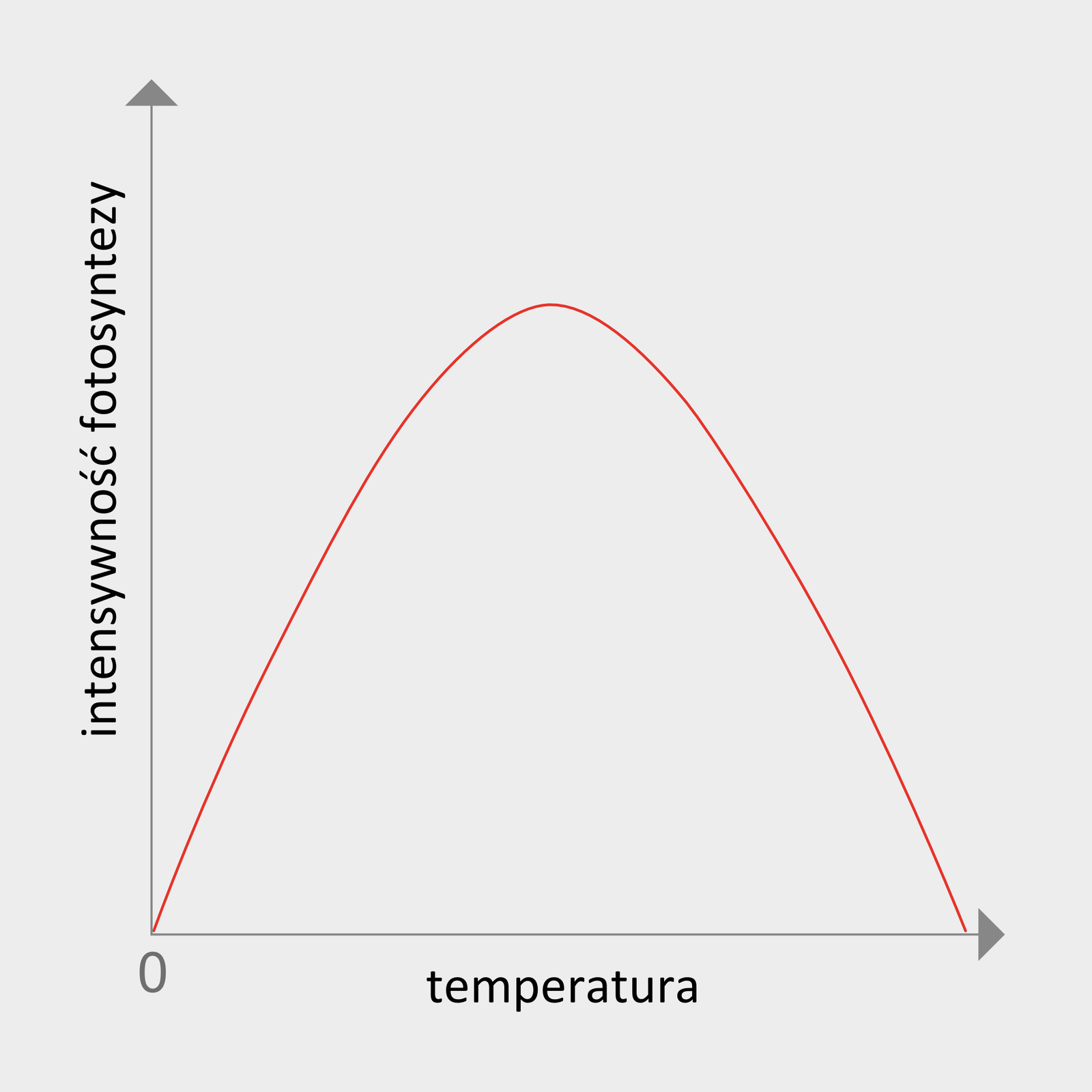 Wykres przedstawiający wpływ temperatury na intensywność fotosyntezy. Początkowo intensywność fotosyntezy rośnie wraz ze wzrostem temperatury, by po przekroczeniu wartości granicznej zacząć spadać.
