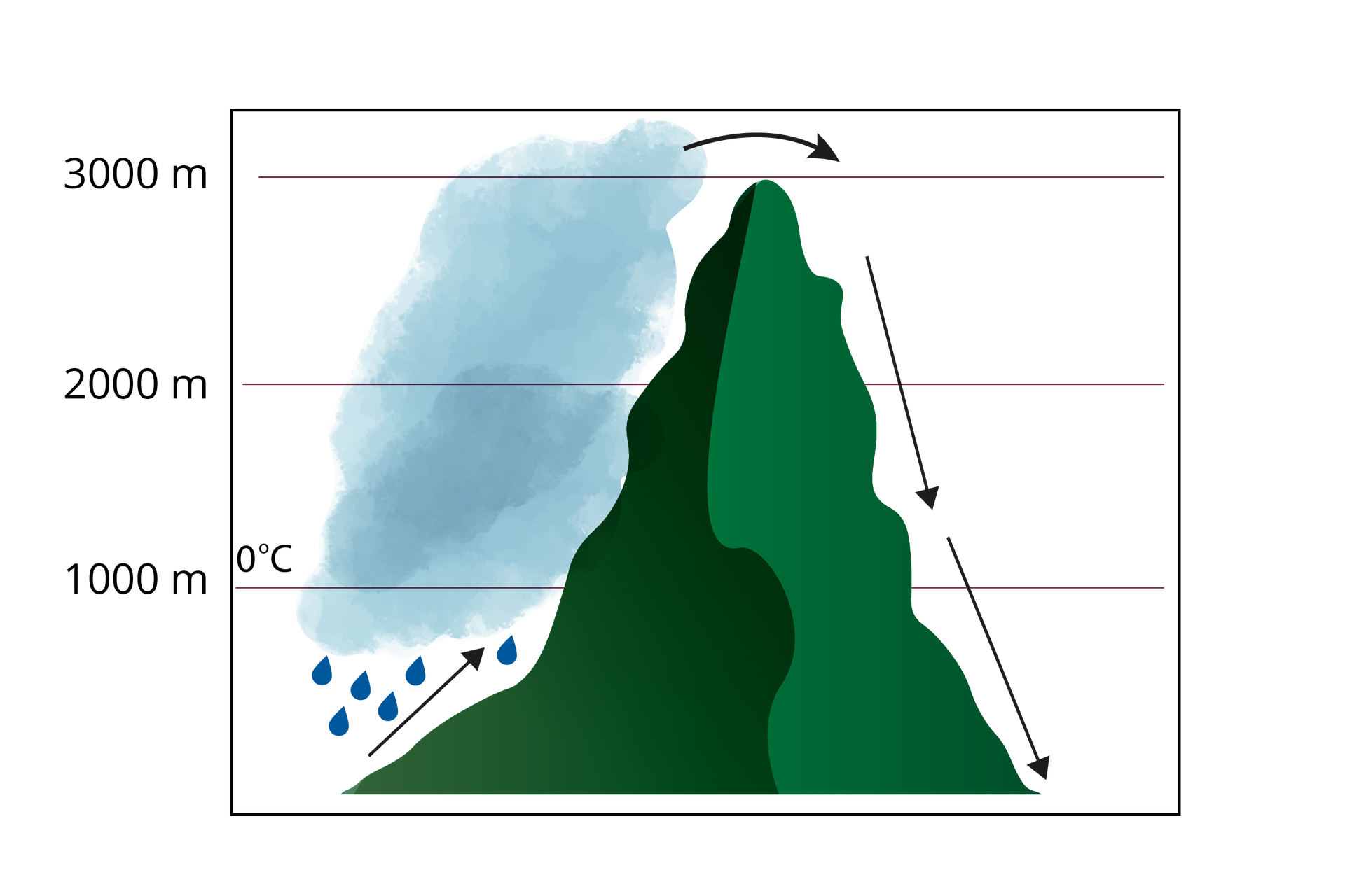 Ilustracja przedstawia górę o wysokości 3000 metrów. Po lewej stronie zbocza górskiego jest chmura, na dole której są krople deszczu i strzałka skierowana ku szczytowi. Nad kroplami deszczu jest pozioma linia wskazująca na 1000 metrów nad poziomem morza i zero stopni Celsjusza. Od szczytu w dół po prawej stronie zbocza są strzałki.   