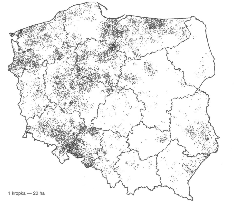 Mapa Polski przedstawia uprawę rzepaku. Kropki oznaczają wielkość upraw. Największe uprawy występują na północy województwa warmińsko mazurskiego, na wschodzie województwa kujawsko pomorskiego, na zachodzie województwa zachodniopomorskiego, na granicy województwa dolnośląskiego i opolskiego. Na wschodzie kraju uprawy prawie nie występują.