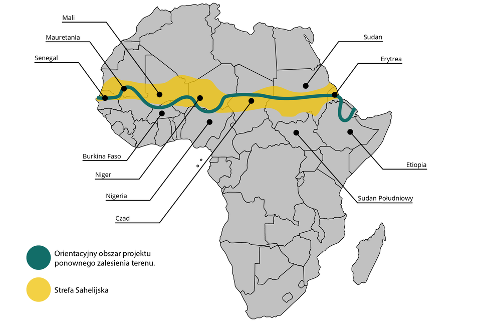 Na mapie Afryki zaznaczono żółtym pasem ciągnącym się od Senegalu do Erytrei strefę Sahelijską. Strefa ta przechodzi przez części terenu następujących krajów: Senegal, Mauretania, Mali, Burkina faso, Niger, Nigeria, Czad, Sudan, Sudan Południowy, Erytrea, Etiopia. Na żółtym pasie strefy Sahelijskiej przeciągnięto zieloną linię, która oznacza orientacyjny obszar projektu ponownego zalesienia terenu. Na terenie Etiopii linia ta wygina się poniżej strefy Sahelijskiej.
