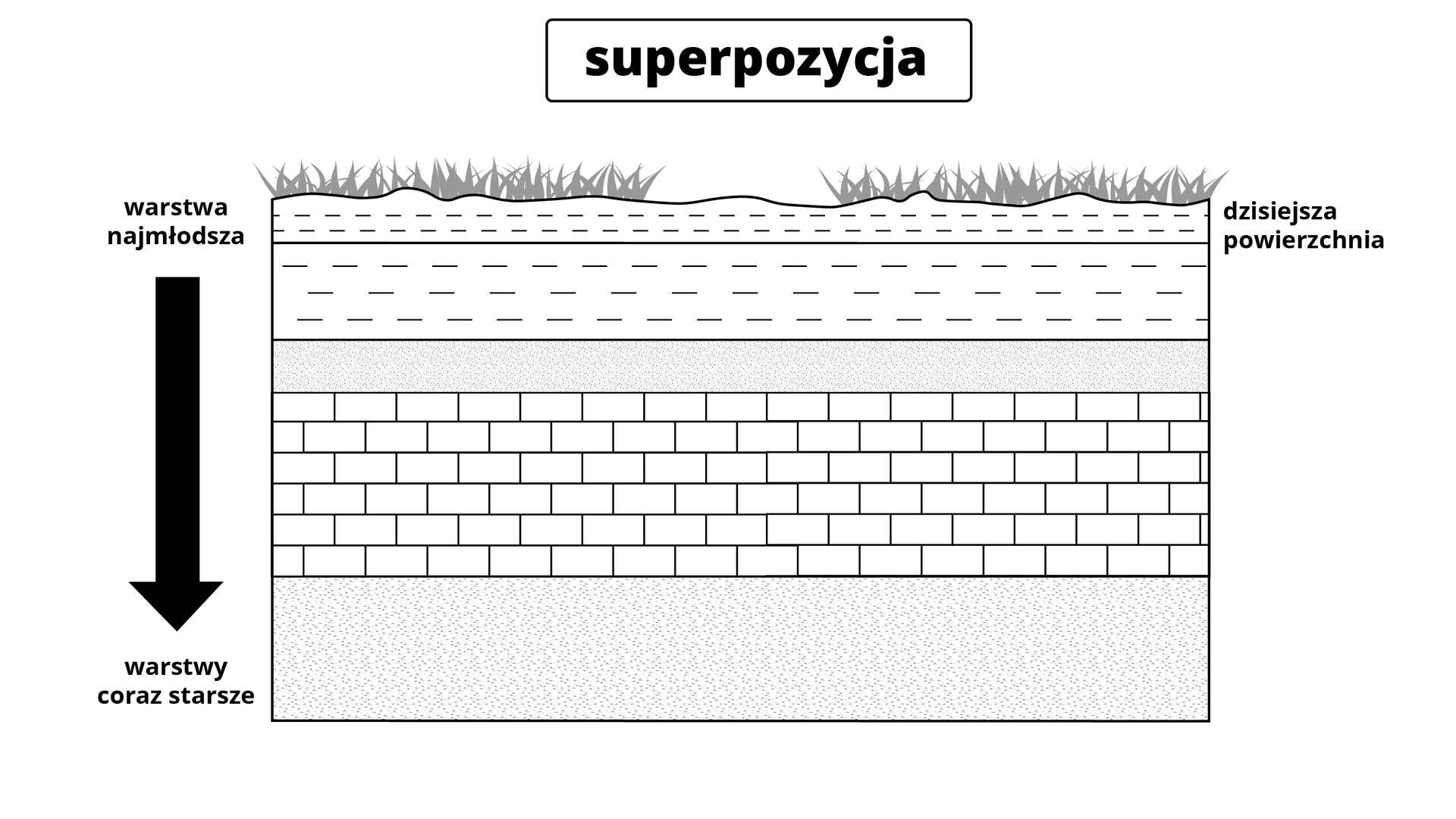 Schemat przedstawia przekrój gleby. Nad schematem jest napis: superpozycja. Następnie na przekroju jest kilka warstw. Na samej górze zaznaczono dzisiejszą powierzchnię. Po lewej stronie przekroju, na całej jego wysokości, jest strzałka skierowana w dół. Na górze strzałki jest napis: warstwa najmłodsza, na dole - warstwy coraz starsze.  