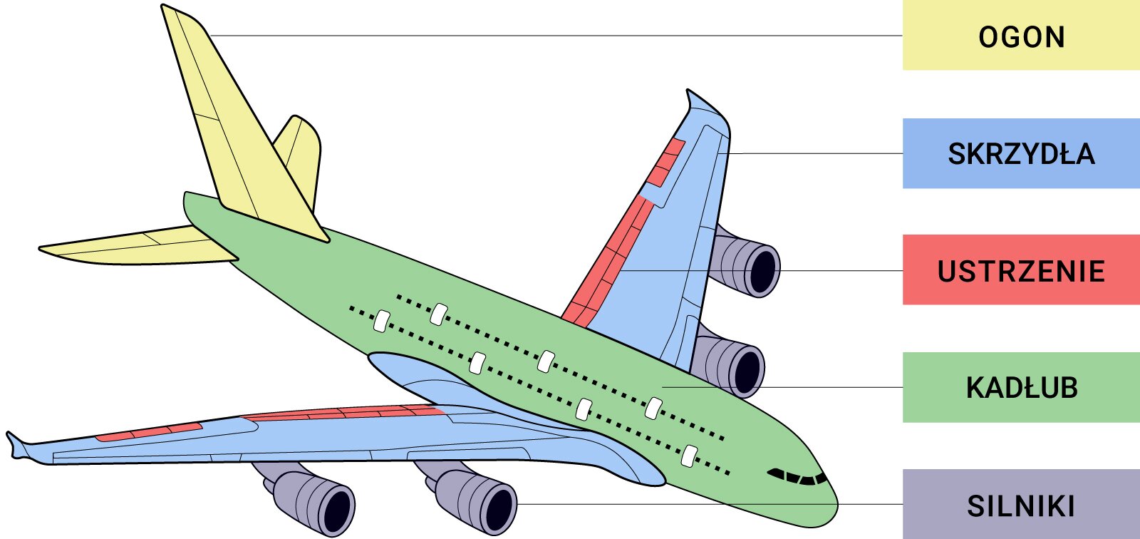 Ilustracja przedstawia różne części budowy samolotu. Są to: ogon znajdujący się z tyłu, skrzydła znajdujące się po bokach, ustrzenie znajdujące się na skrzydłach przy ich tylnej krawędzi, kadłub, czyli główna część samolotu z kokpitem, częścią dla pasażerów, lukami bagażowymi, dziobem oraz ostatnia część składowa samolotu, czyli silniki, które zamontowane są pod skrzydłami i mają walcowatą obudowę. 