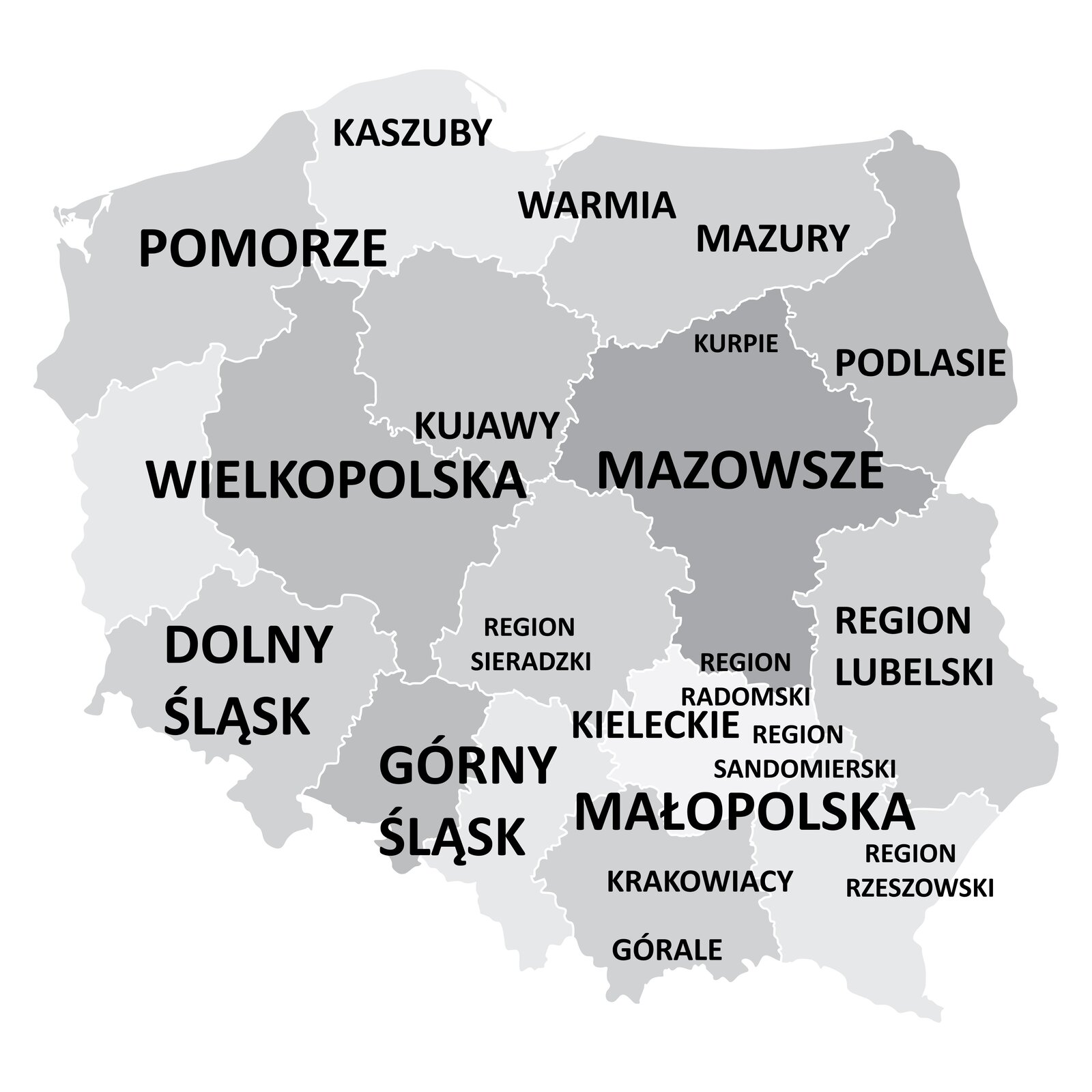 Ilustracja przedstawia mapę Polski z podziałem na województwa, oznaczone różnymi odcieniami szarości. W odpowiednich miejscach znajdują się nazwy poszczególnych regionów i grup etnicznych. Przy północnej granicy od lewej strony kolejno znajdują się: pomorze, kaszuby, warmia i mazury. Pod pomorzem znajduje się wielkopolska, a pod kaszubami - kujawy. Pod mazurami znajduje się niewielki napis: kurpie, a poniżej duży napis: mazowsze. Przy wschodniej granicy od góry kolejno znajdują się: podlasie, region lubelski oraz region rzeszowski. Przy południowej granicy od lewej strony znajdują się: dolny śląsk, górny śląsk, następnie małopolska z zaznaczonymi pod nią dwoma mniejszymi nazwami: krakowiacy i górale, a nad nią zaznaczono: kieleckie, region radomski i region sandomierski. Nad górnym śląskiem zaznaczono region sieradzki.