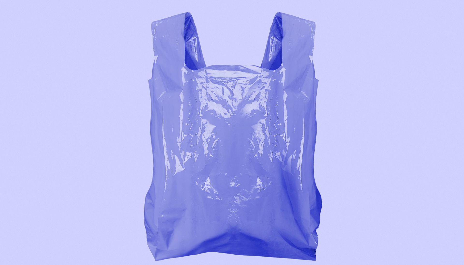 Zdjęcie ukazuje plastikową torbę na zakupy. 