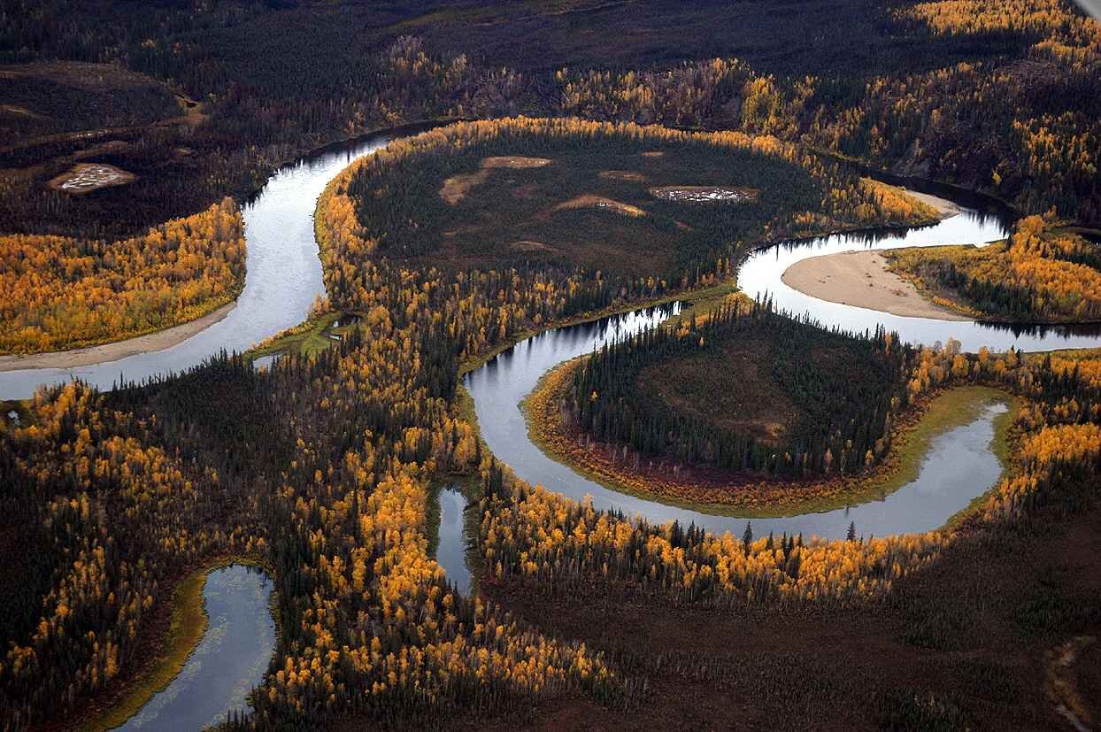 Zdjęcie przedstawia krajobraz. Jest zrobione z lotu ptaka. Widać na nim zakola płynącej rzeki. Między nimi rosnący las.