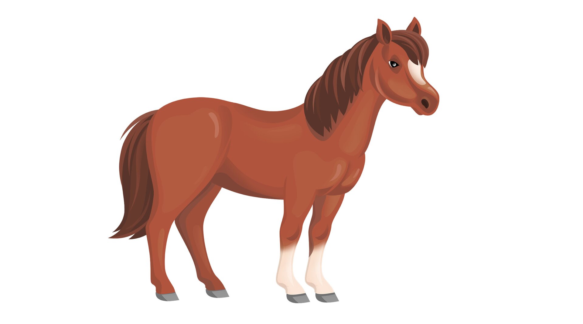 Ilustracja przedstawia konia