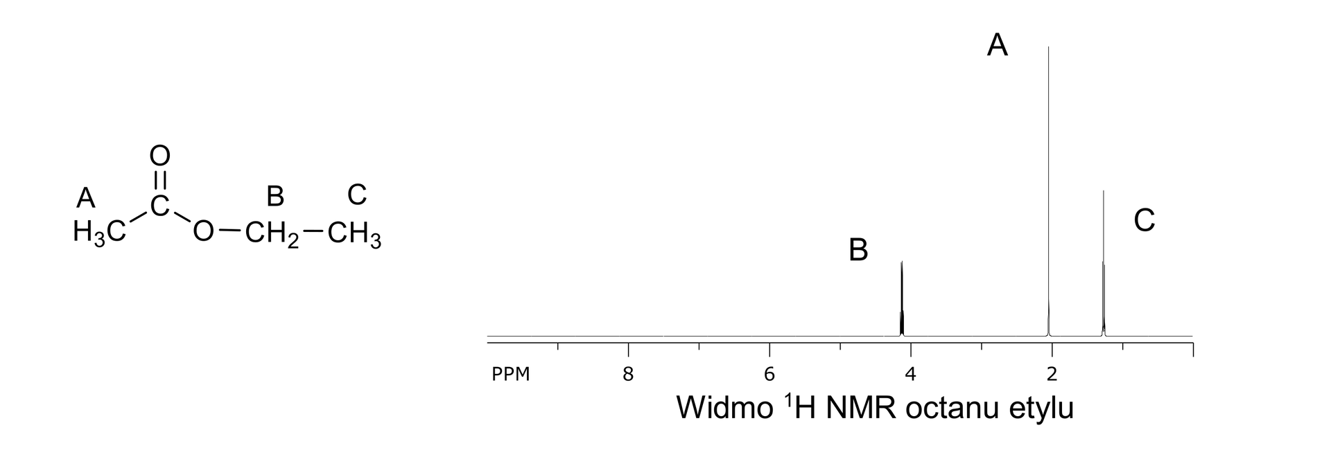Ilustracja przedstawia wzór półstrukturalny octanu etylu oraz widmo jeden H NMR. Jest ona zbudowana z grupy metylowej CH3 związanej z atomem węgla. Atom ten łączy się za pomocą wiązania podwójnego z atomem tlenu oraz za pomocą wiązania pojedynczego z drugim atomem tlenu. Drugi atom tlenu podstawiony jest grupą metylenową CH2. Ta zaś związana jest z podstawnikiem metylowym CH3. We wzorze kolejno oznaczono atomy wodoru znajdujące się przy danej grupie. Kolejno. nad grupą metylową połączoną z atomem węgla - litera A. Nad grupą metylenową znajduje się litera B. Natomiast nad grupą metylową połączoną z grupą metylenową - litera C. Widmo przedstawia trzy sygnały pochodzące od protonów odpowiednich grup. Na osi poziomej zaznaczono przesunięcie chemiczne wyrażone w p p m; zaznaczono wartości od prawej do lewej strony, od zera do dziesięciu. Pierwszy sygnał od prawej znajduje się przy przesunięciu 1,25 p p m i jest on trypletem odpowiadającym grupie metylowej, co oznaczono literą C nad sygnałem. Drugi sygnał od prawej przy przesunięciu 2,03 p p m jest singletem i odpowiada grupie metylowej, co oznaczono literą A. Ostatni, trzeci sygnał znajdujący się po lewej stronie oznaczono literą B. Jest to kwartet i reprezentuje grupę metylenową.