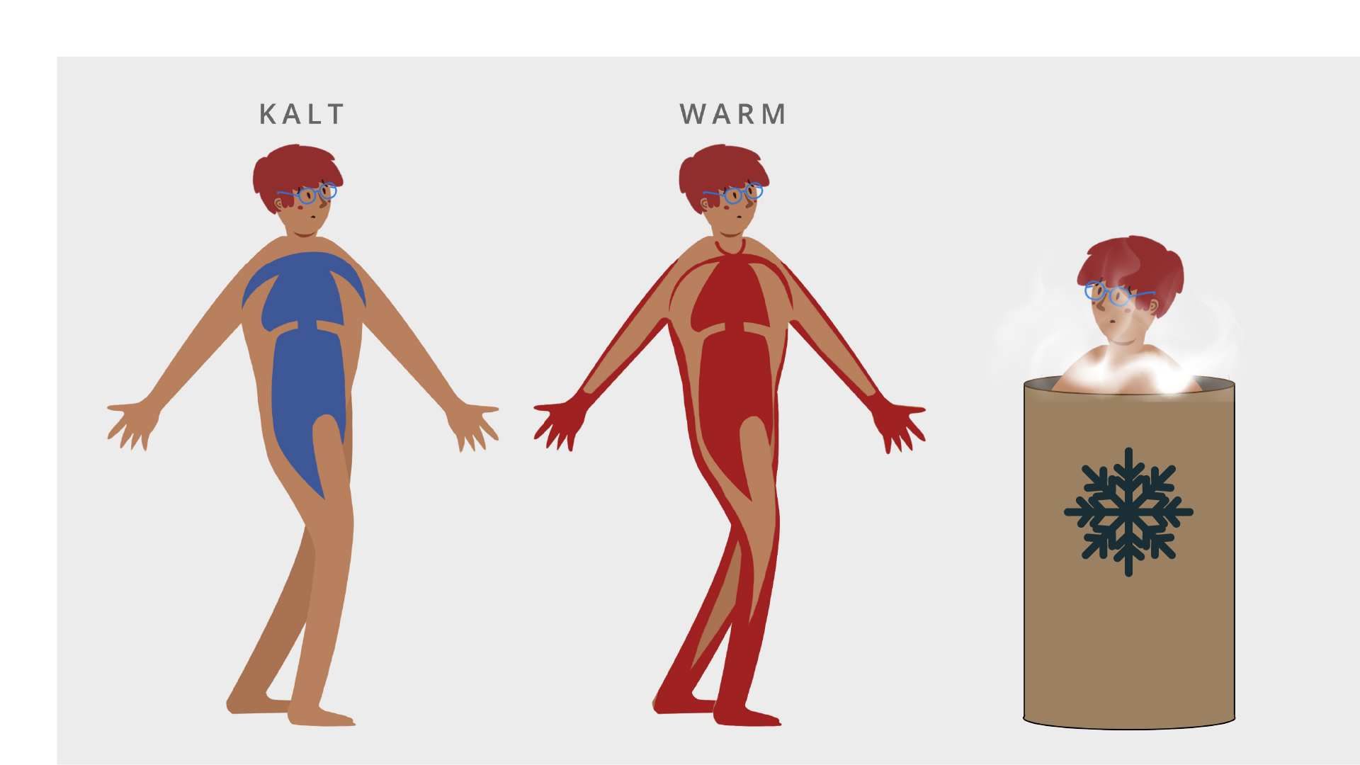 Ilustracja przedstawia dwie sylwetki. Jedna z nich na zaznaczone na niebiesko organy wewnętrzne i jest podpisana KALT. Druga ma zaznaczone na czerwono organy wewnętrzne i jest podpisana WARM. Obok nich znajduje się osoba siedząca w kriokomorze oznaczonej płatkiem śniegu.