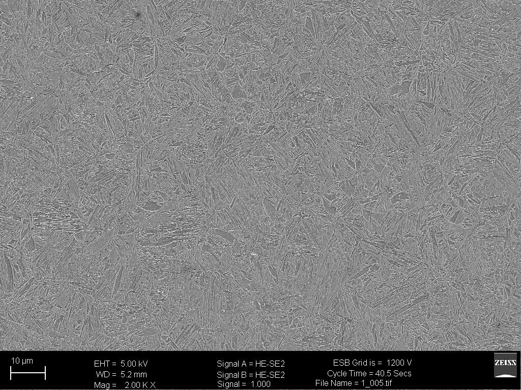 Mikrostruktura martenzytyczna
Zdjęcie wykonane na mikroskopie SEM