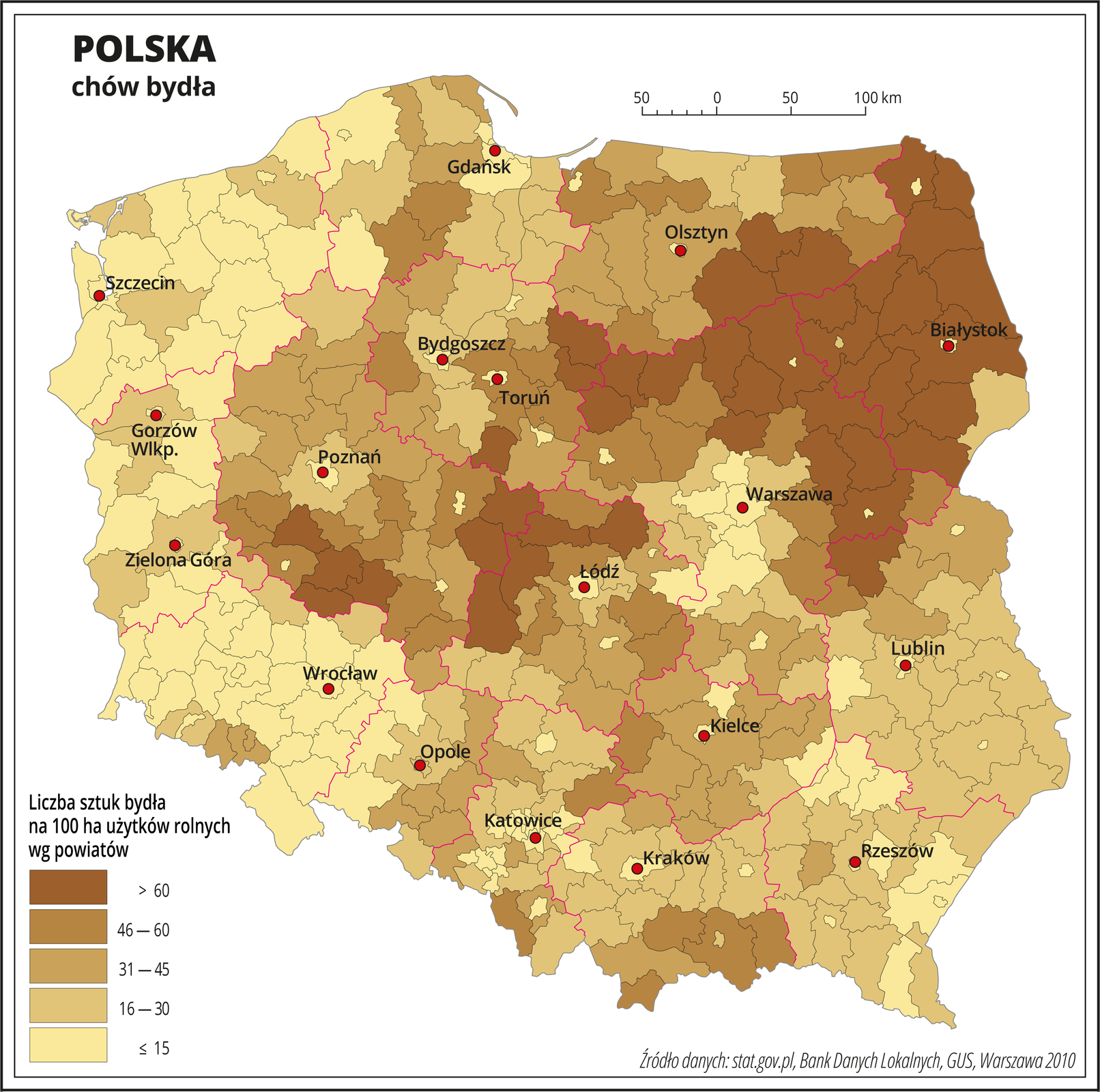 Ilustracja przedstawia mapę Polski z podziałem na powiaty, na której za pomocą kolorów przedstawiono liczbę sztuk bydła na sto hektarów użytków rolnych wg powiatów. Na mapie czerwonymi liniami oznaczono granice województw, a czarnymi granice powiatów, czerwonymi kropkami oznaczono miasta wojewódzkie i je opisano. Najciemniejszym odcieniem koloru brązowego oznaczono obszary, gdzie występuje powyżej sześćdziesięciu sztuk bydła na sto hektarów użytków rolnych. Jest to województwo podlaskie, północna i wschodnia część województwa mazowieckiego, południowa część województwa warmińsko-mazurskiego i kilka powiatów na styku województwa wielkopolskiego i łódzkiego. Najjaśniejszym odcieniem oznaczono obszary, gdzie hoduje się poniżej piętnastu sztuk bydła na sto hektarów użytków rolnych. Jest to centralna część województwa mazowieckiego, okolice Łodzi i zachodnia część Polski. W pozostałych powiatach oznaczonych trzema różnymi odcieniami koloru brązowego przedstawiono obszary, na których hodowla bydła waha się od szesnastu do sześćdziesięciu sztuk na sto hektarów użytków rolnych. Występują one na mapie w zbliżonych ilościach i są rozłożone nierównomiernie. Poniżej mapy w legendzie opisano kolory użyte na mapie.