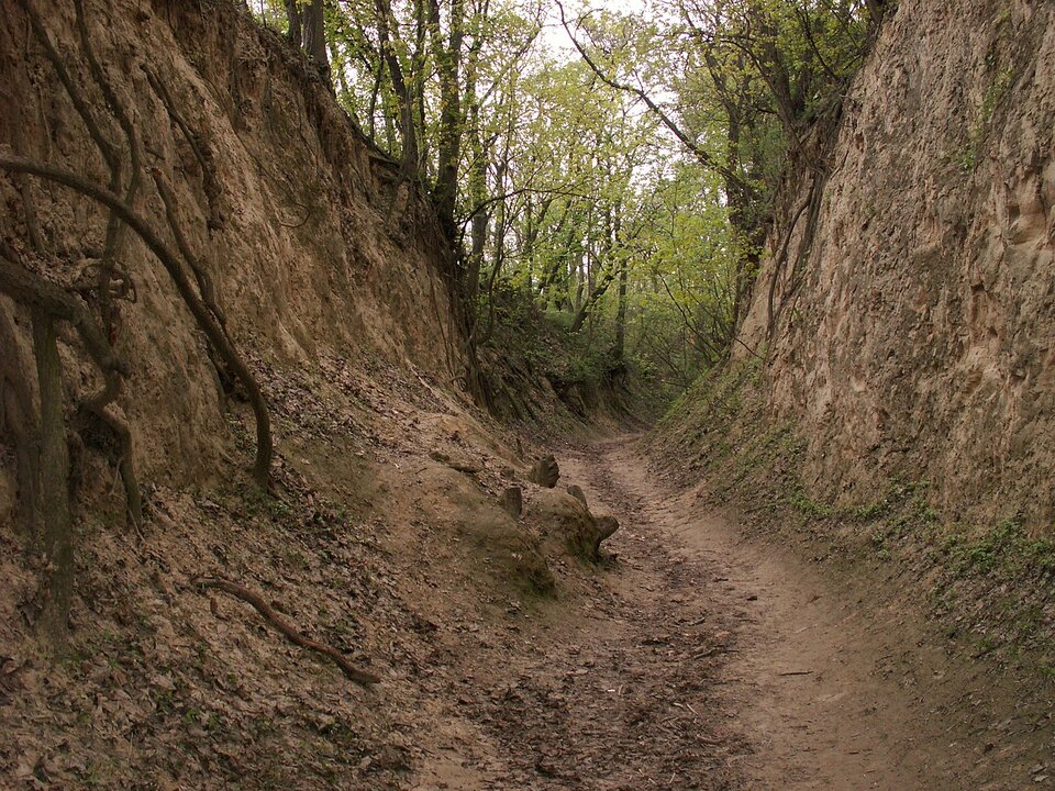 Zdjęcie przedstawia wąską ścieżkę biegnącą na dnie wąwozu. Wąwóz ma kształt litery U. Jego zbocza są gliniaste, strome, ale niewysokie. Na szczycie zboczy rosną drzewa.  