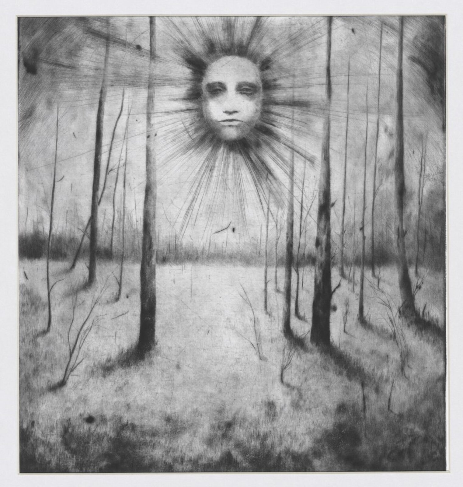 Ilustracja przedstawia porośniętą trawą polanę, na której ukazano drzewa pozbawione liści oraz gałęzi. Są cienkie, szare z jaśniejszymi fragmentami. Obok nich obecne są bezlistne krzewy oraz, gdzieniegdzie, wysokie źdźbła trawy. W powietrzu przedstawiono cienkie, wąskie liście. U góry ukazano ludzką twarz otoczoną ciemnymi promieniami o różnej długości, przywodzącą na myśl słońce. Twarz jest jasna, jej oczy są podkrążone, usta wąskie i zaciśnięte, a nos długi. 