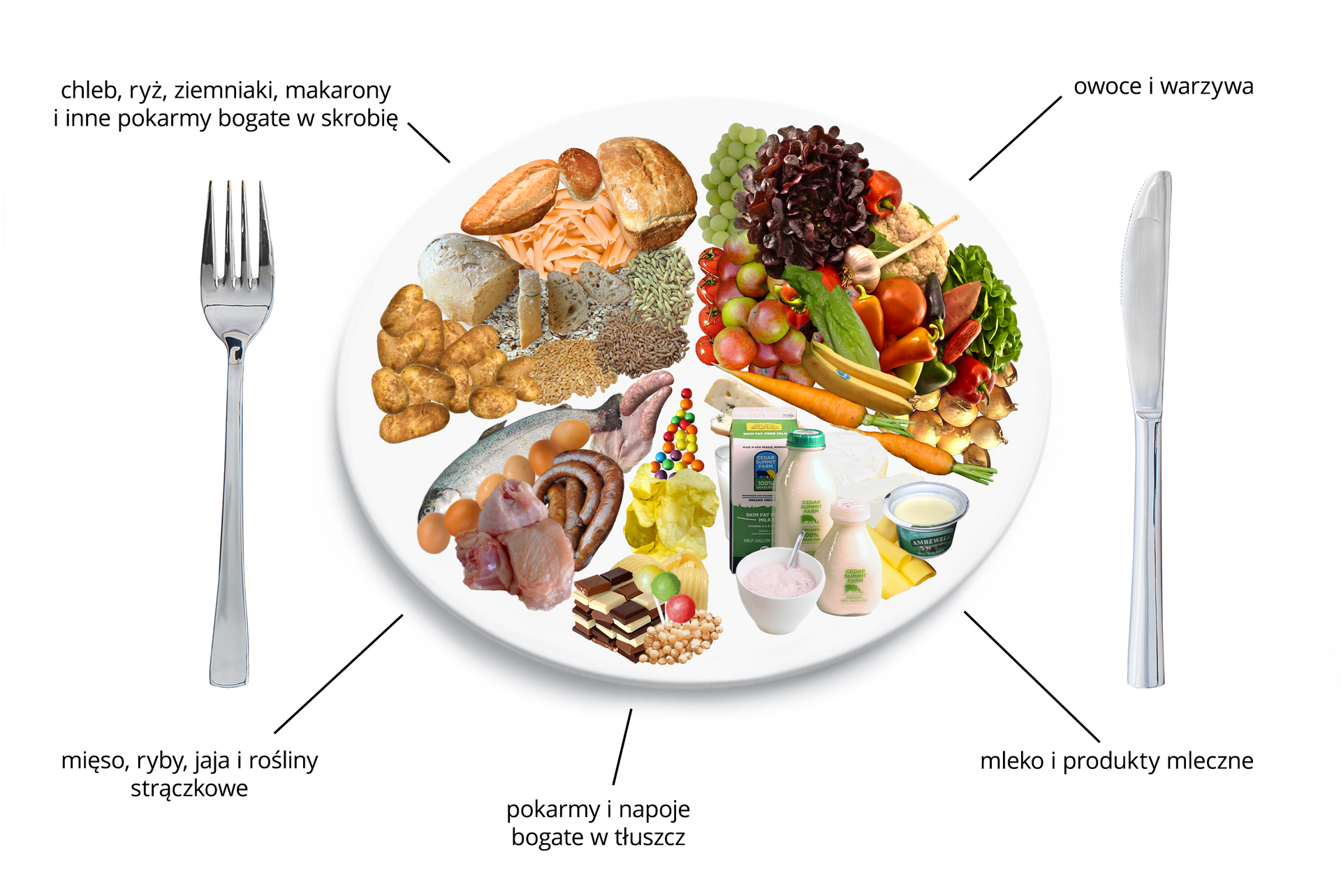 Schemat przedstawiający talerz zdrowego żywienia z różnymi produktami żywnościowymi. Talerz podzielono na pięć nierównych części, odzwierciedlających proporcje pokarmów, jakie powinny wchodzić w skład naszej diety. Największą część talerza stanowią: zboża, chleb, ziemniaki i pokarmy bogate w skrobię. Następna równie duża część, to owoce i warzywa. Kolejna mniejsza niż ćwiartka talerza to, nabiał. Następna mięso, ryby, jaja i rośliny strączkowe. Najmniejsza cześć talerza, to pokarmy i napoje bogate w tłuszcz.