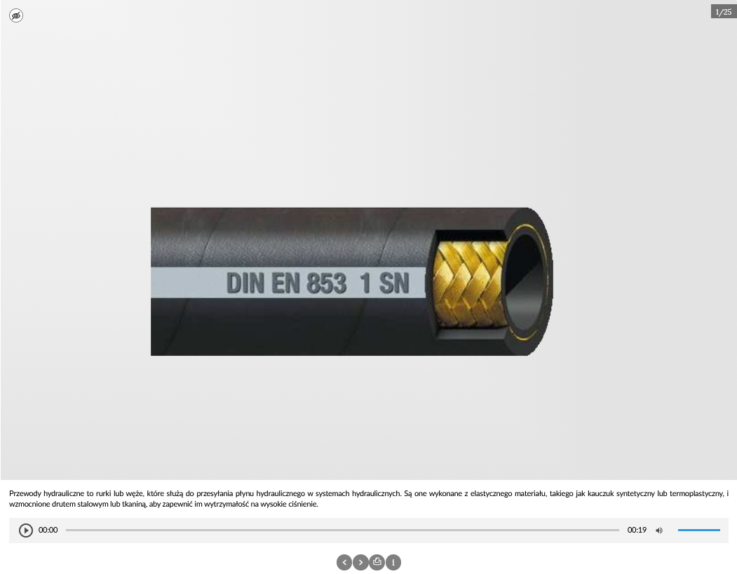 Grafika przedstawia jedno ze zdjęć galerii otwartej w trybie prezentacji. Na dole widoczne są opcje galerii, a u dołu ilustracji znajduje się otwarty panel z treścią oraz nagraniem o treści tożsamej.