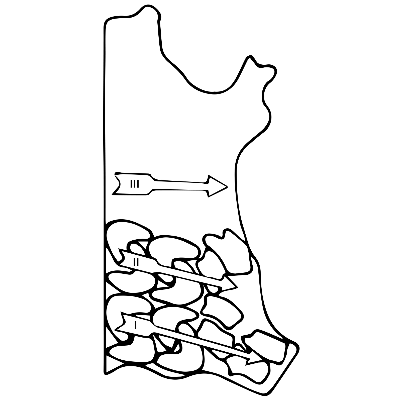 Rysunek przedstawia połówkę skóry bydlęcej, czyli skórę całą przeciętą wzdłuż. Pokazano zasadę rozkroju tej połówki skóry. Na skórze znajdują się trzy strzałki jednak pod drugą, wszystkie skierowane w prawo, najniższa strzałka jest najdłuższa. Strzałki pokazują, że rozkrój przyszew zaczyna się od dolnej przyogonowej linii grzbietowej w kierunku boków, a bliżej części bocznych wycina się obłożyny. Elementy przyszwy ułożone są naprzemianlegle. Drugi i kolejny rząd elementów wycina się tak samo, czyli zaczynając od linii przecięcia (linii grzbietowej). Wszystkie elementy ułożone są jeden obok drugiego, a ich brzegi stykają się ze sobą.