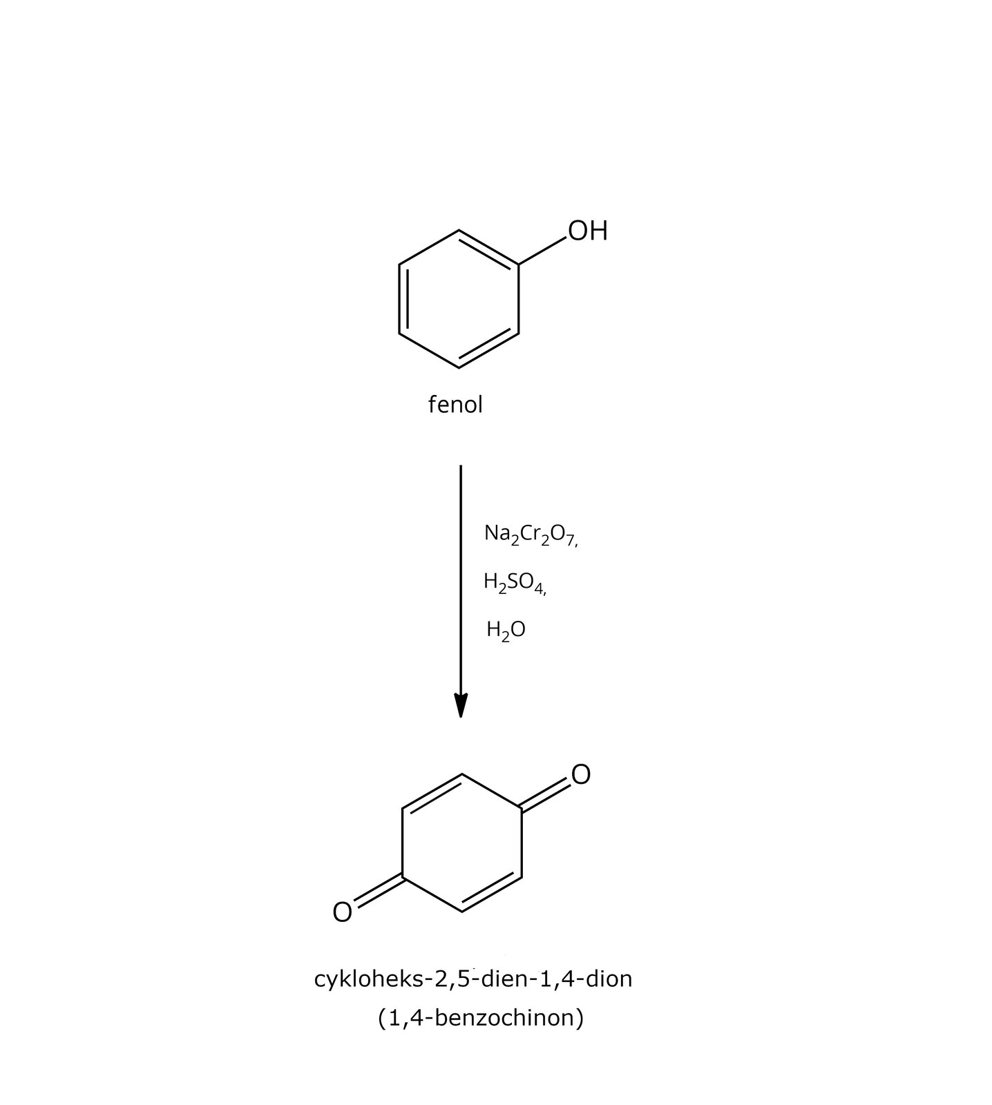 Ilustracja przedstawia pionowo zapisaną reakcję utleniania fenolu do benzochinonu. Fenol: sześcioczłonowy pierścień aromatyczny z grupą OH przyłączoną do jednego z atomów węgla w pierścieniu. Fenol utlenia się pod wpływem: Na2Cr2O7, H2SO4, H2O do benzochinonu: pierścień sześcioczłonowy, w położeniu jeden i cztery znajdują się atomy węgla połączone z atomami tlenu wiązaniem podwójnym. wiązania pomiędzy atomami węgla w pierścieniu w położeniach dwa i trzy oraz pięć i sześć są podwójne.